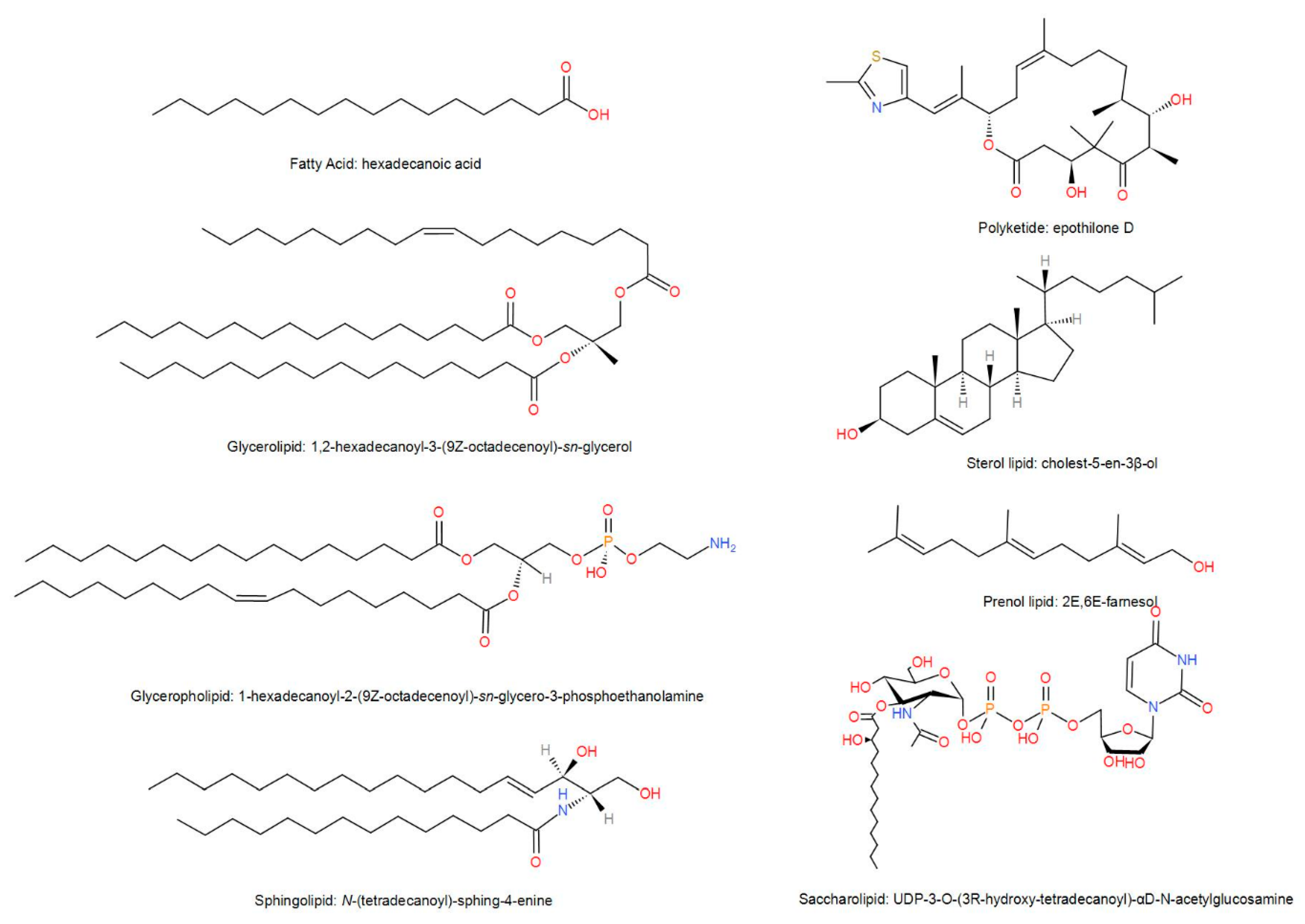 Molecules 25 04864 g001
