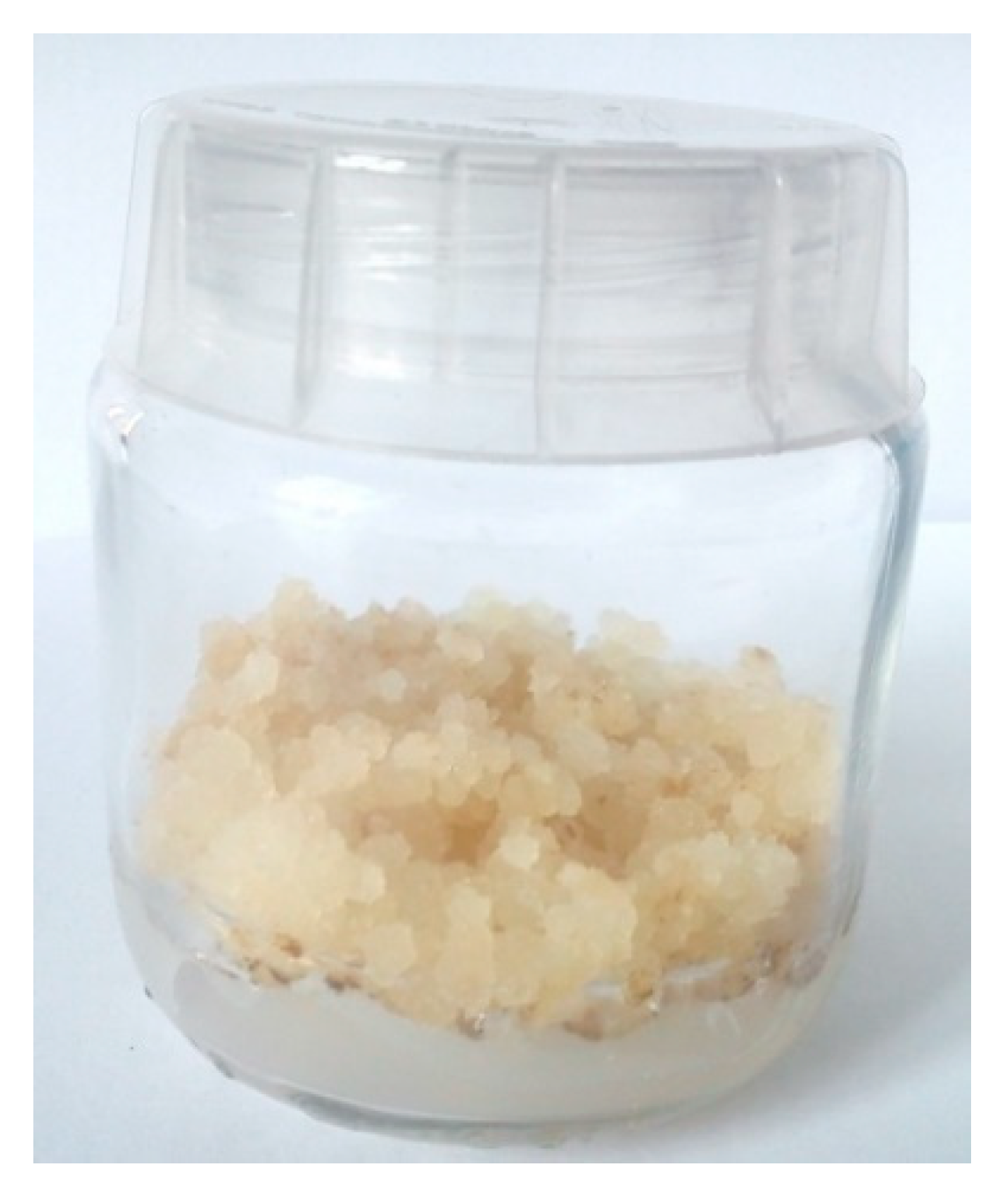 Molecules 25 05767 g002