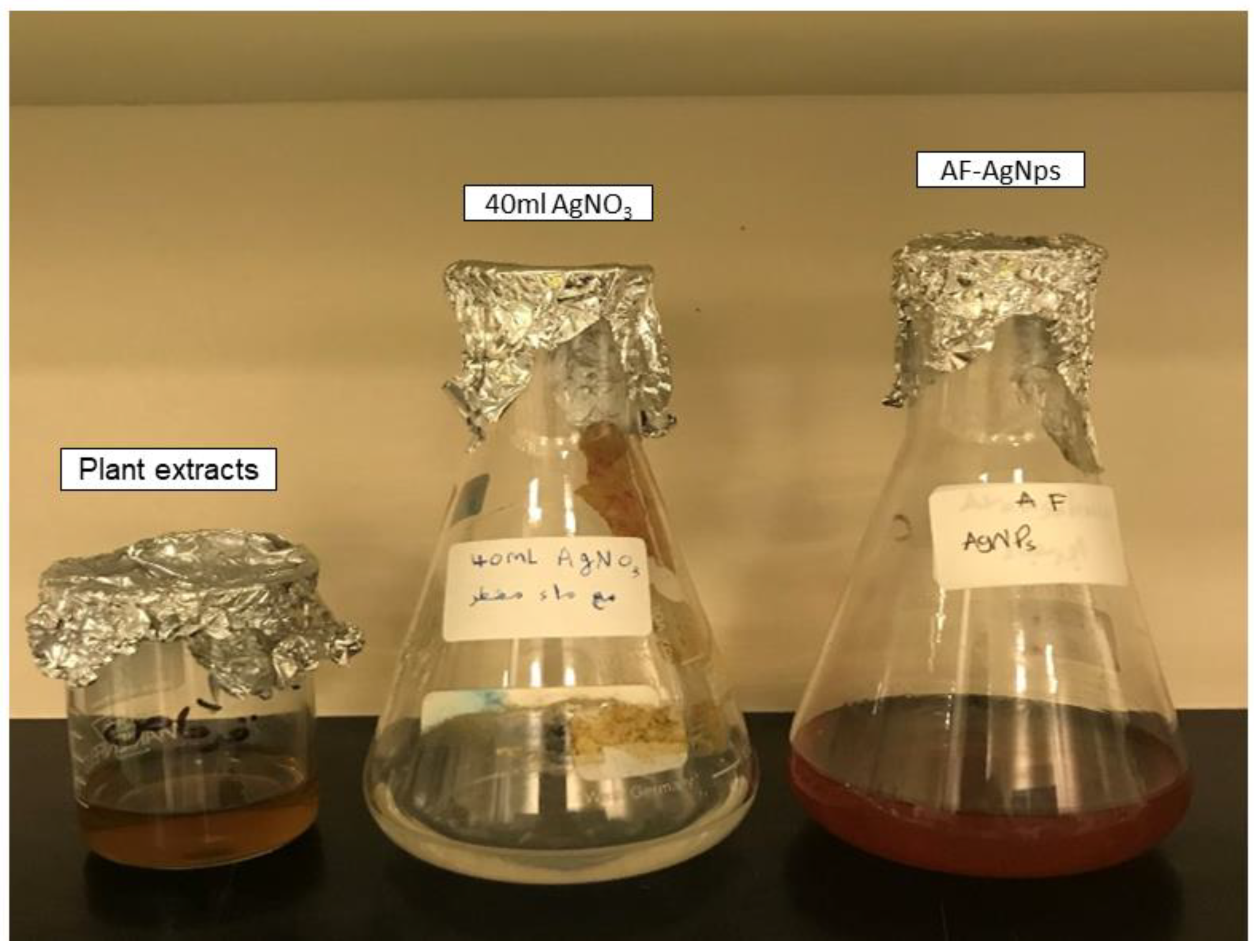Molecules 26 00130 g001