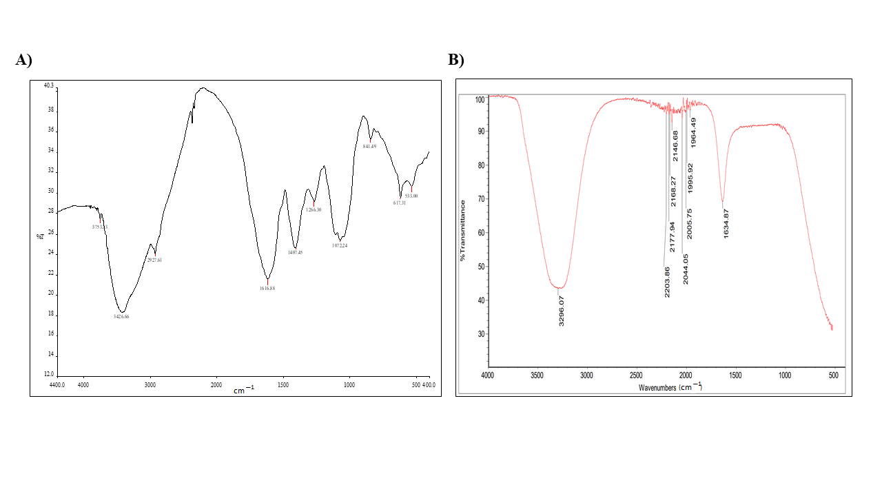 Molecules 26 00130 g003