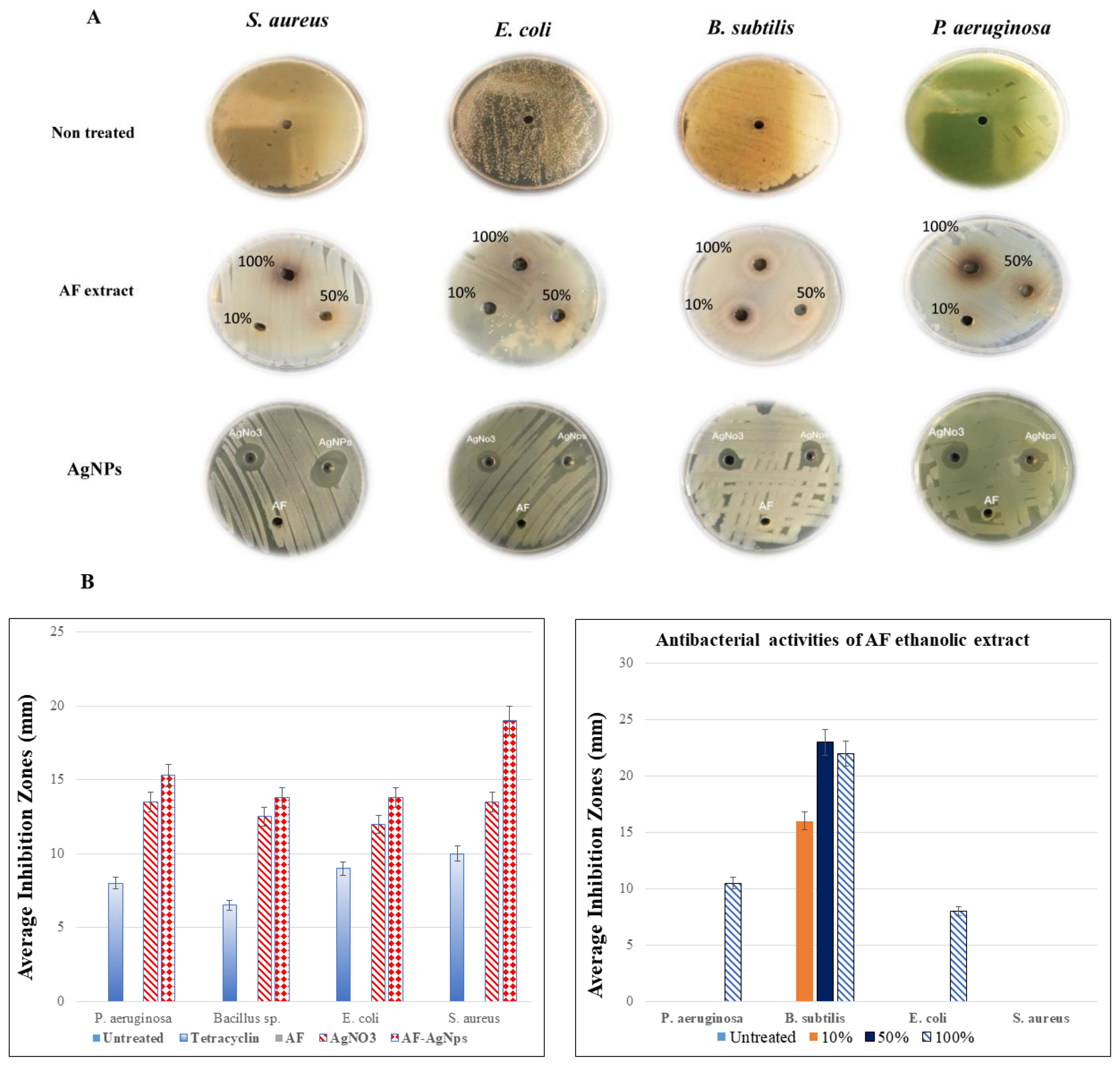 Molecules 26 00130 g004