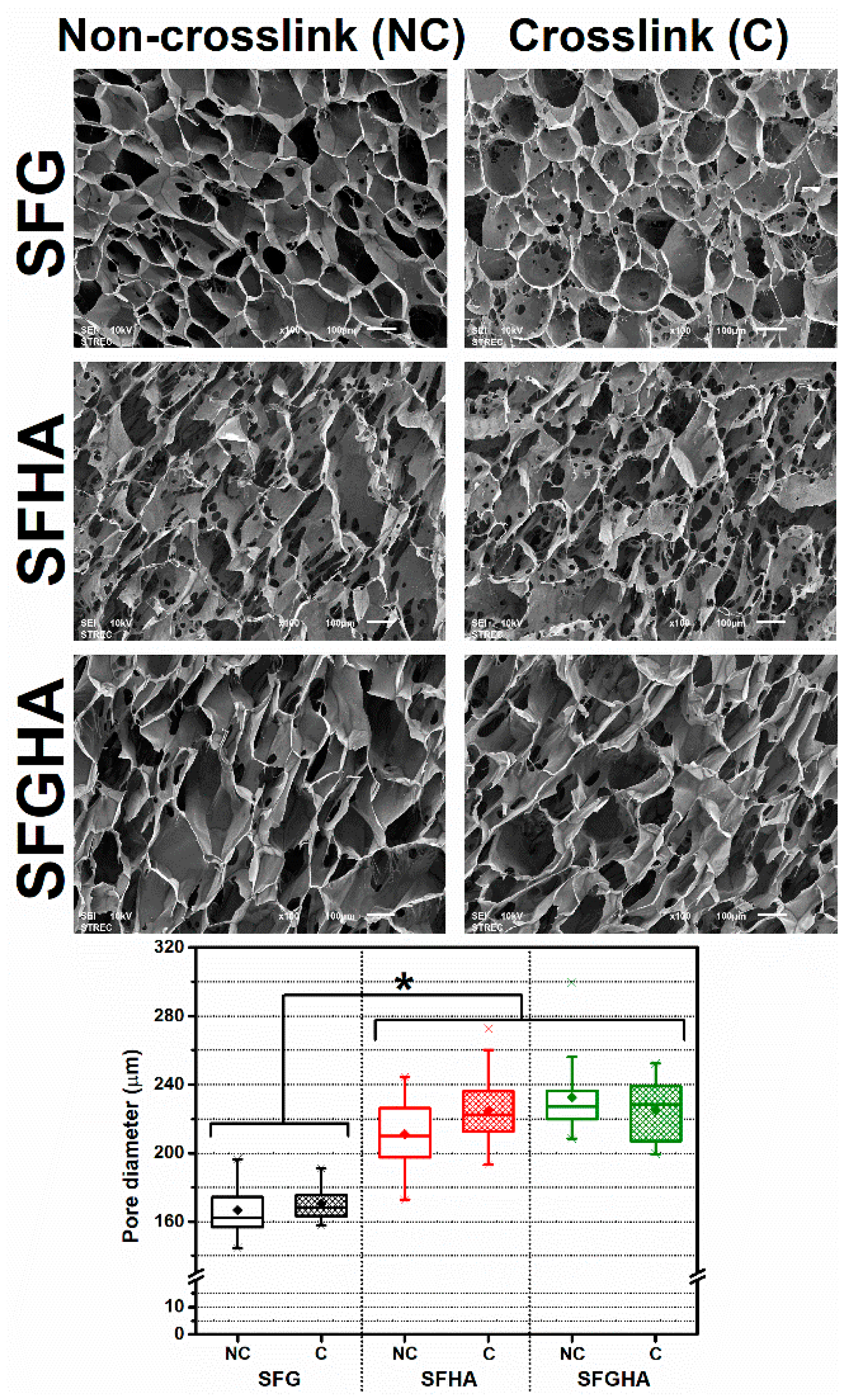 Molecules 26 03191 g003