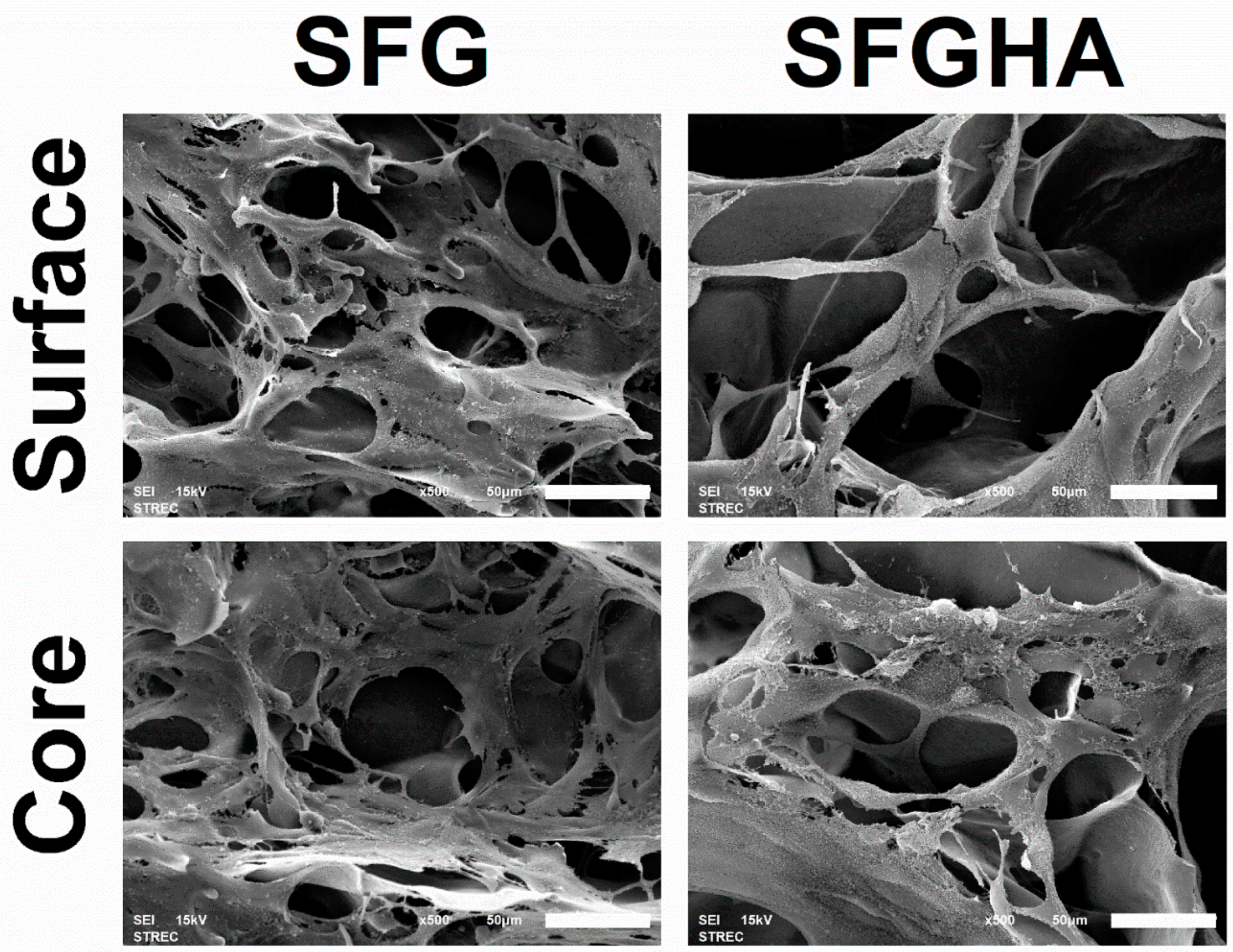 Molecules 26 03191 g005