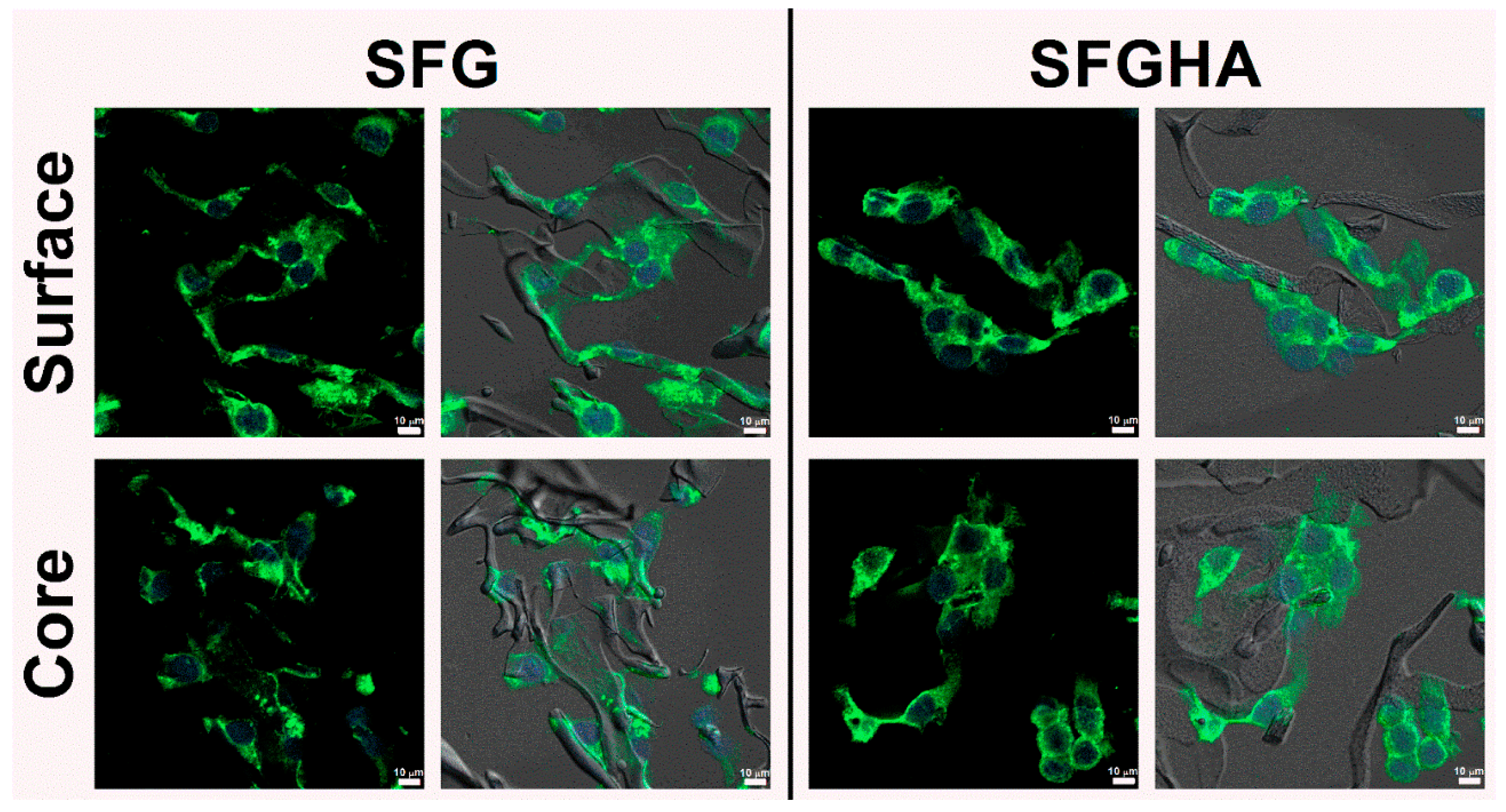 Molecules 26 03191 g006