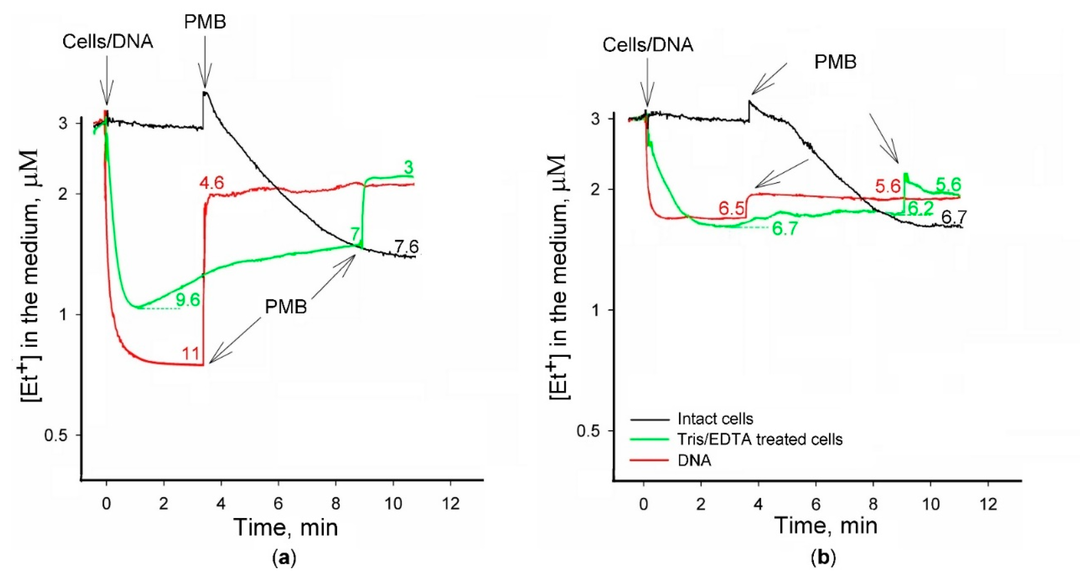 Molecules 26 03386 g003