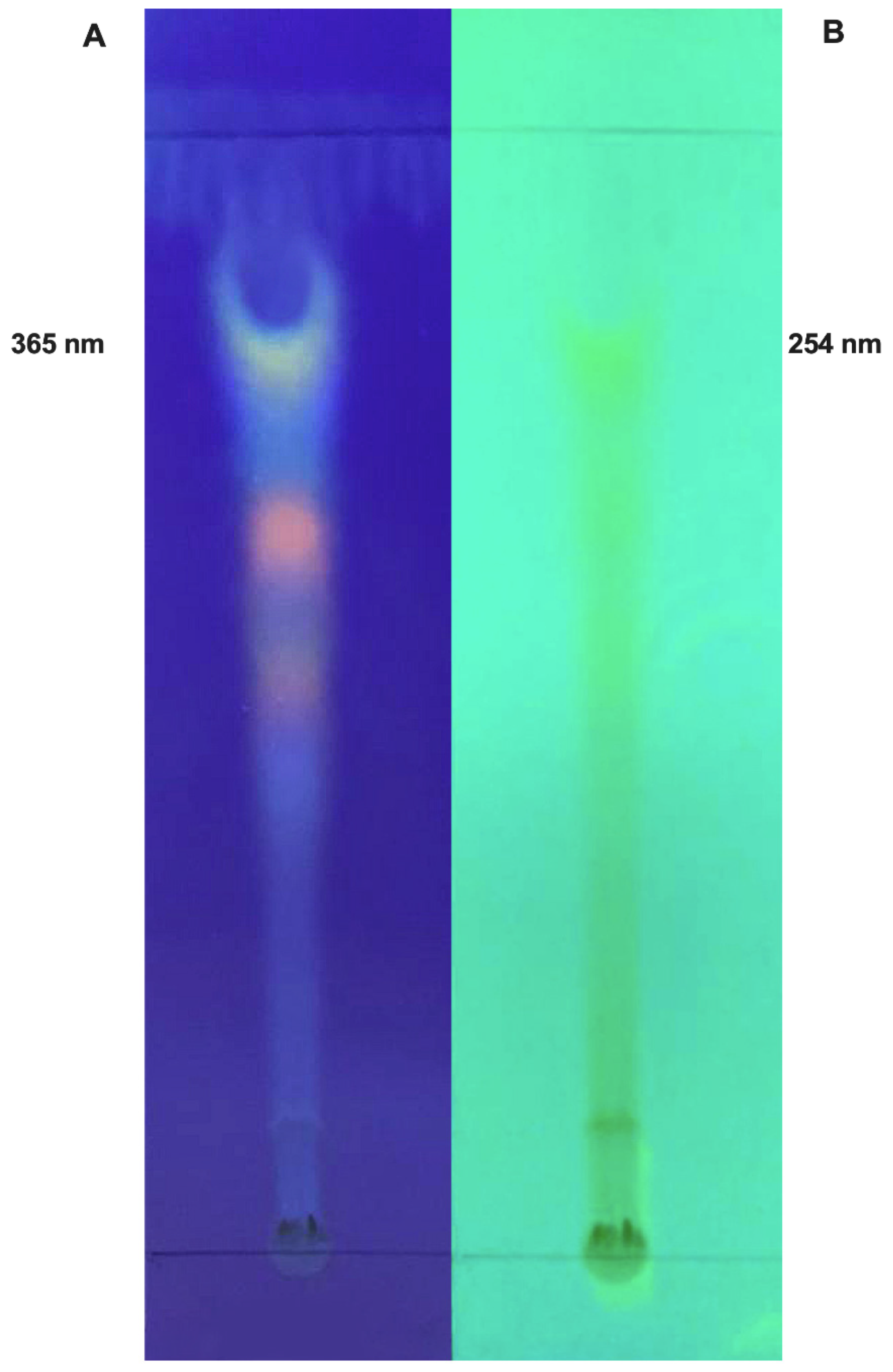 Molecules 26 03546 g001
