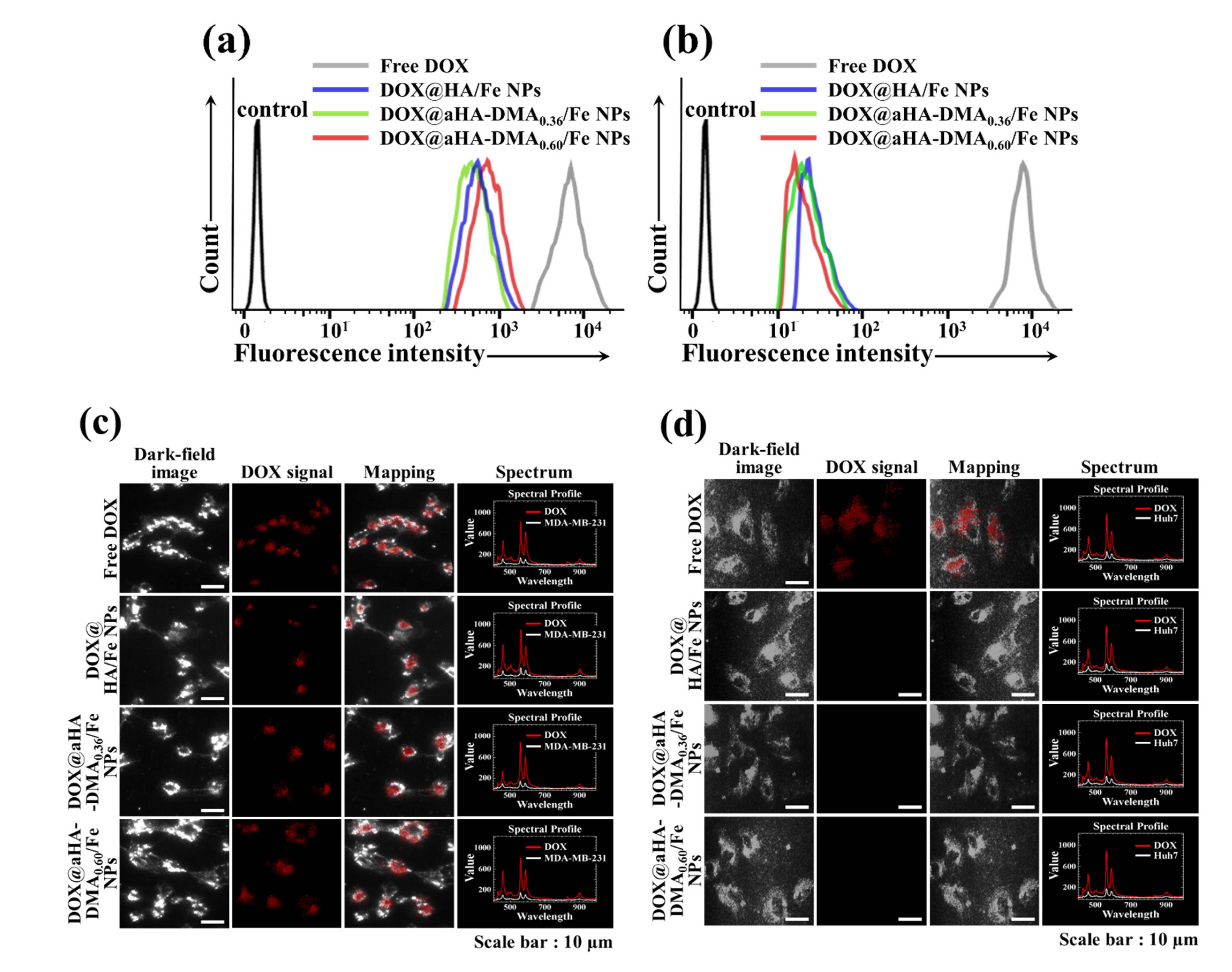 Molecules 26 03547 g003