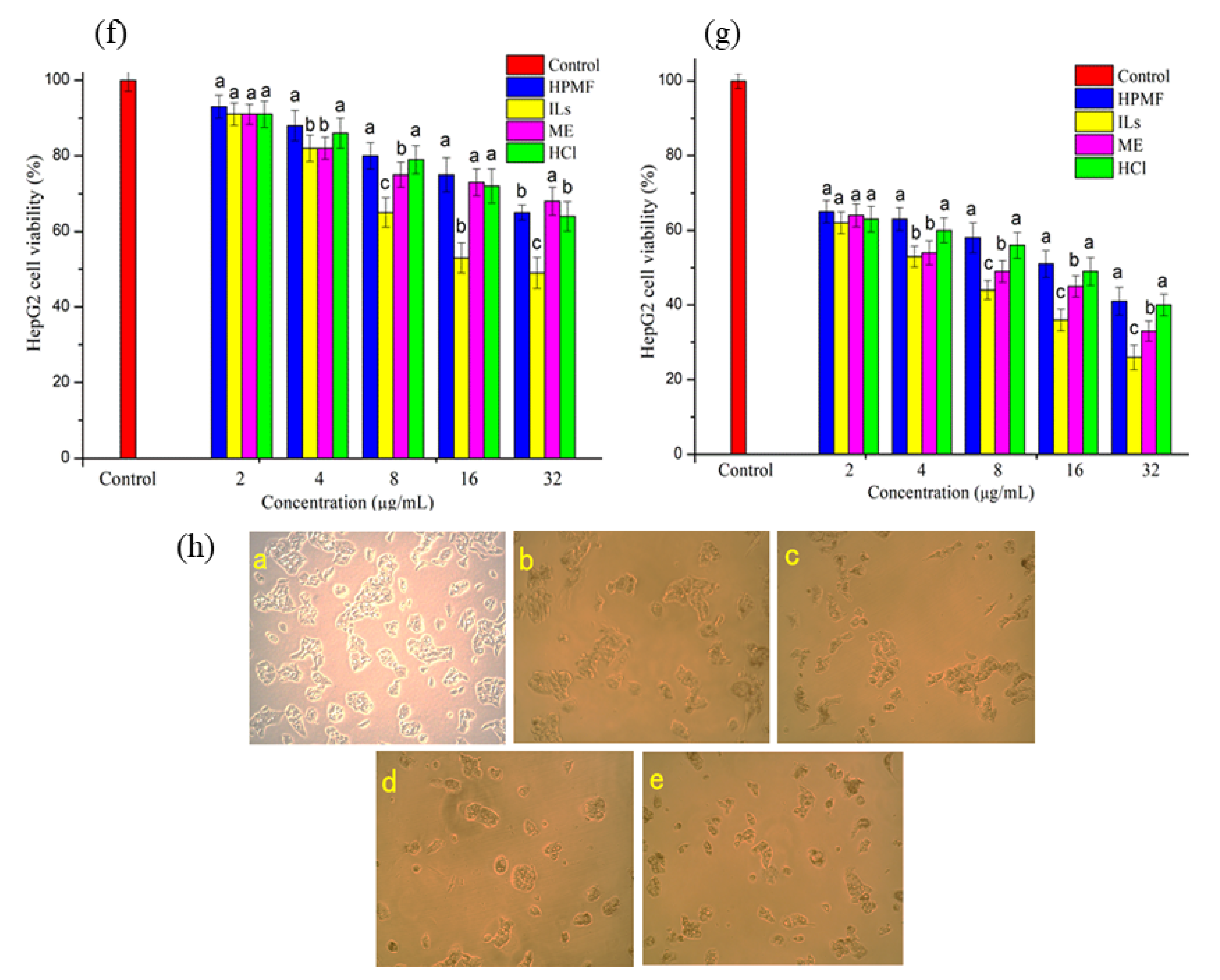 Molecules 26 03569 g004