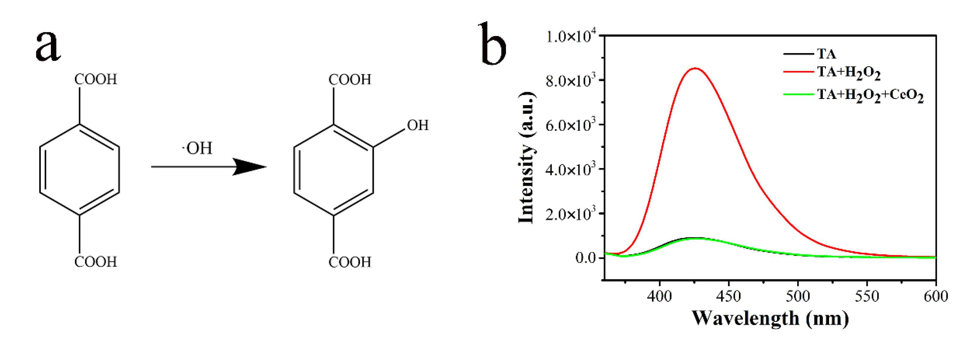 Molecules 26 03747 g003