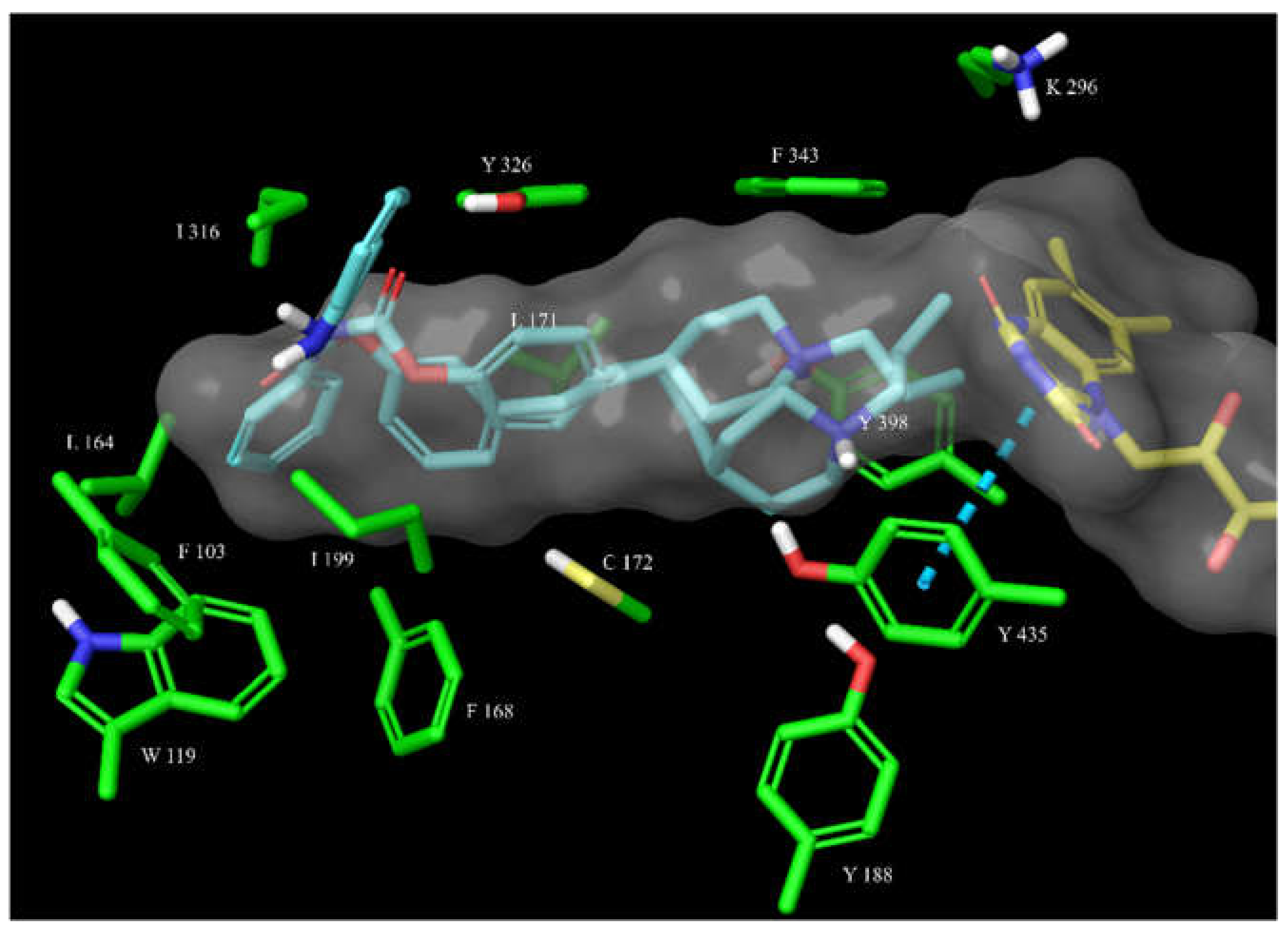Molecules 26 04118 g006