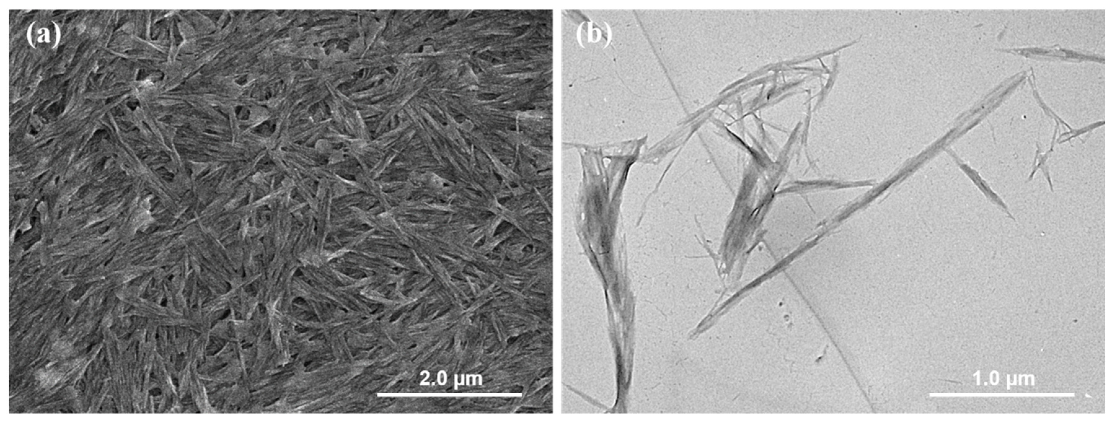 Molecules 26 05003 g001