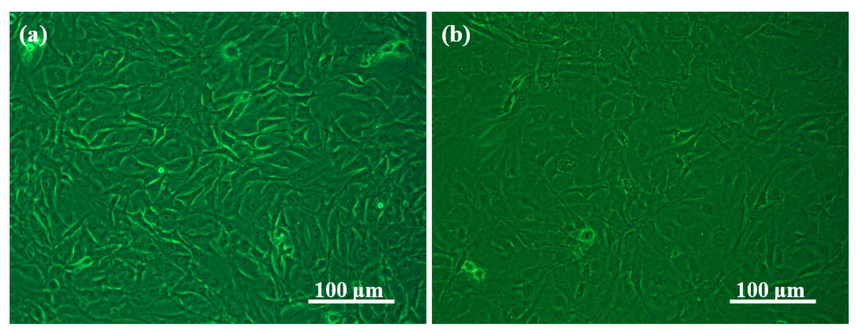 Molecules 26 05003 g008