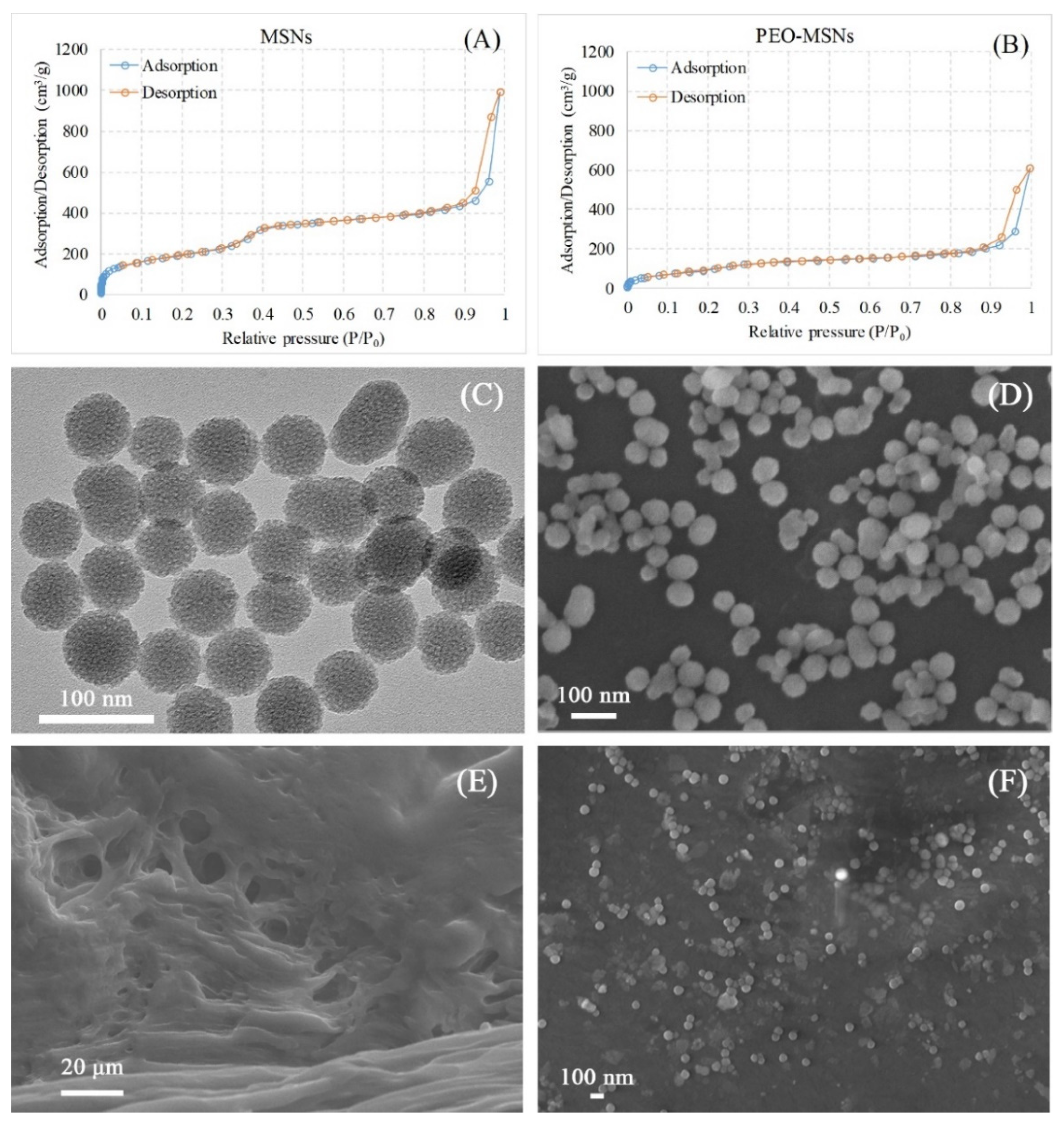 Molecules 26 05005 g001
