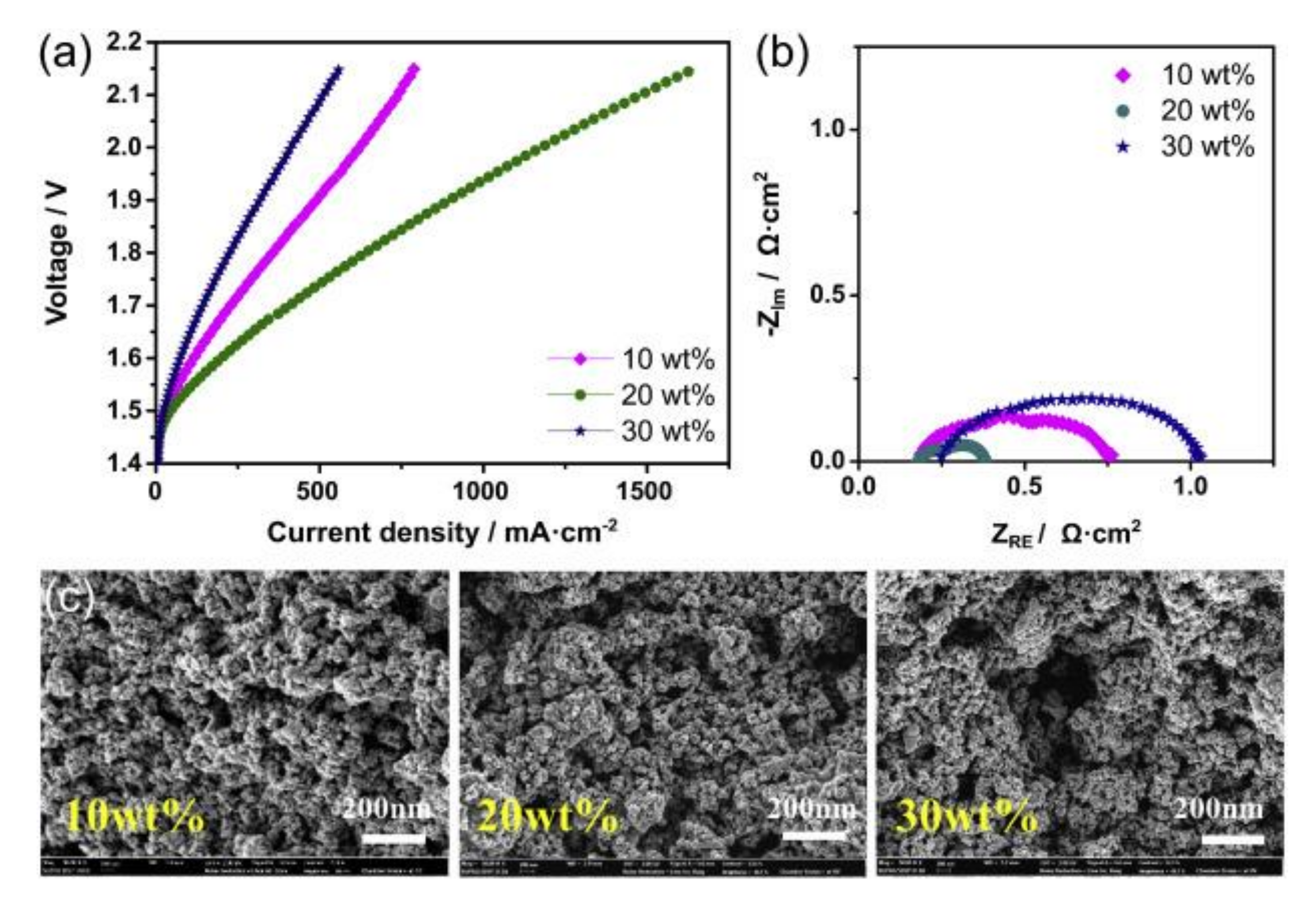 Molecules 26 06326 g005