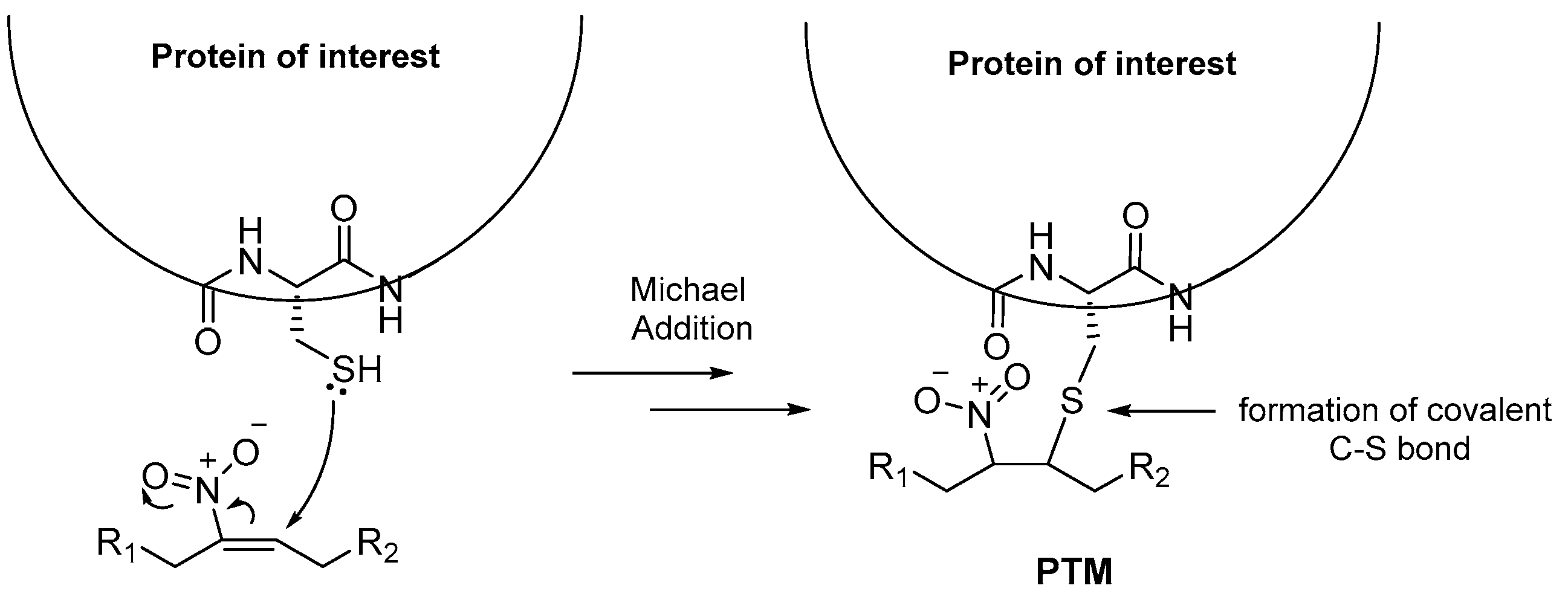 Molecules 26 07536 g001