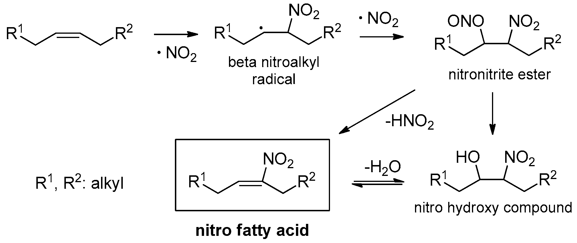 Molecules 26 07536 sch002