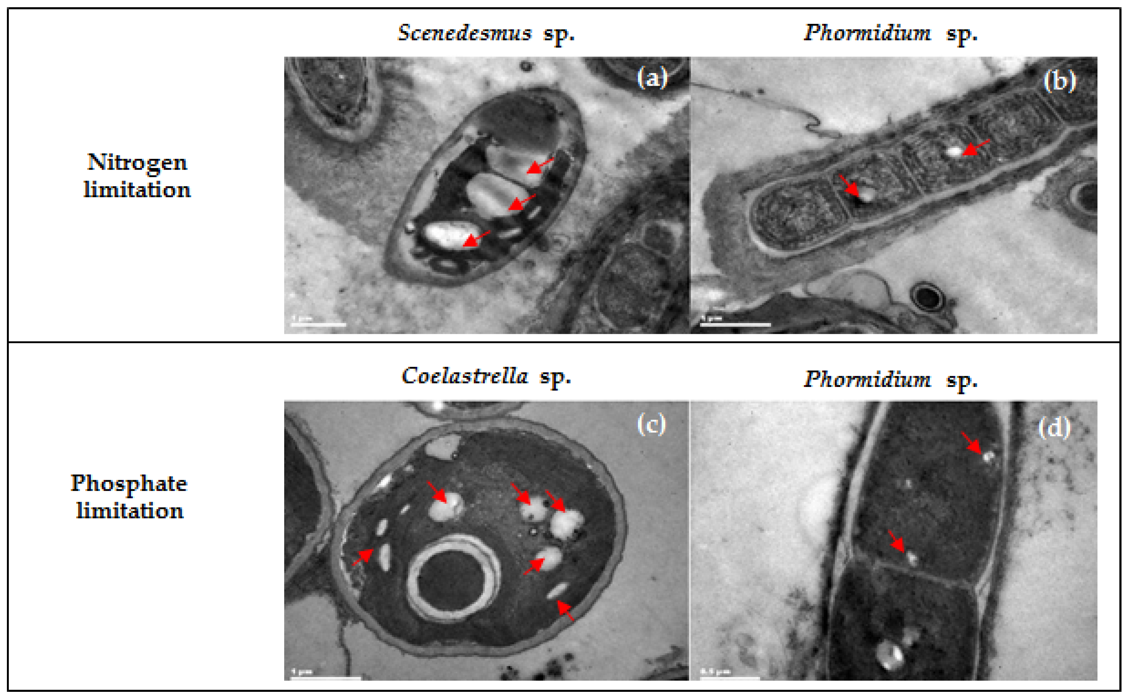 Molecules 26 07613 g002
