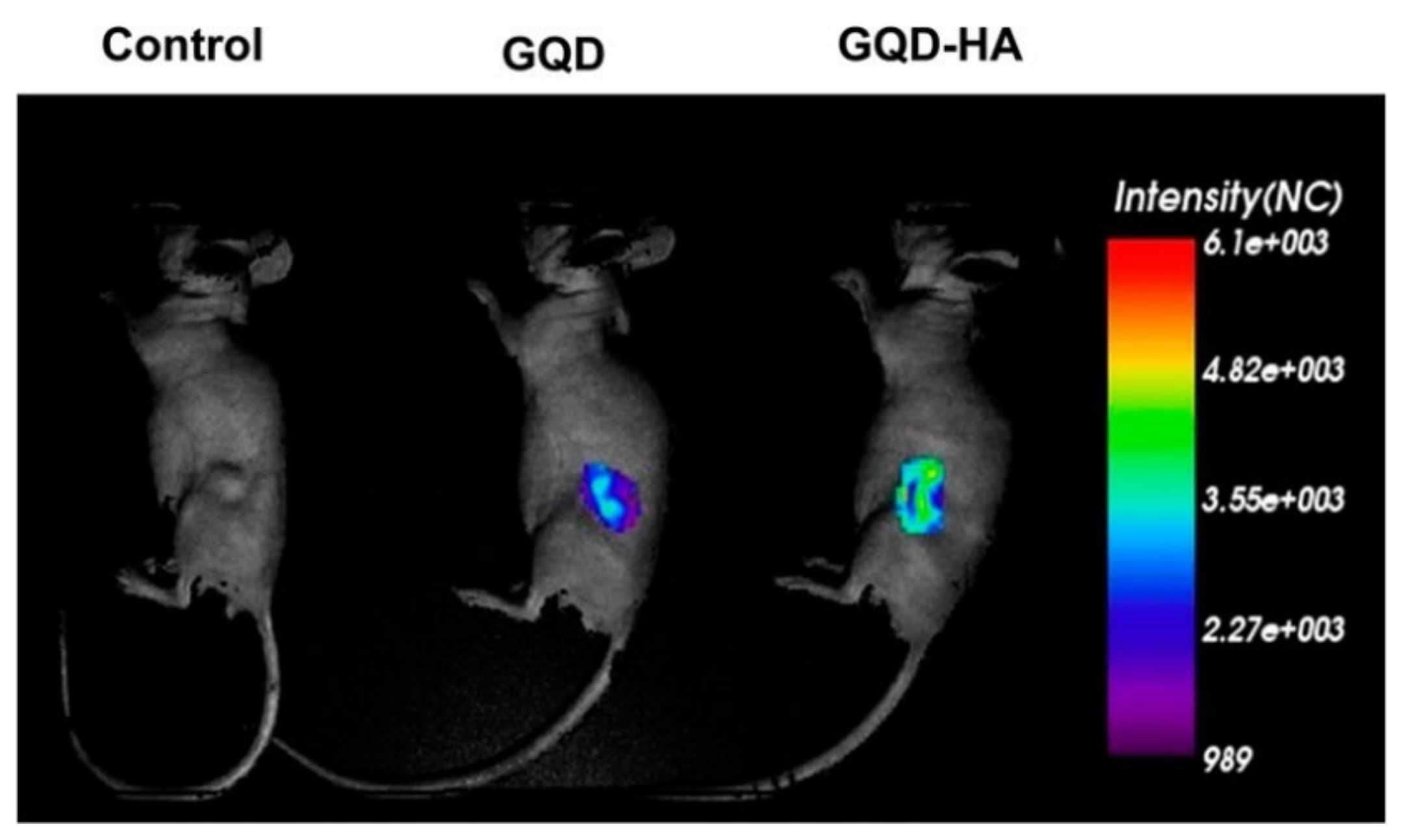 Molecules 27 00048 g008