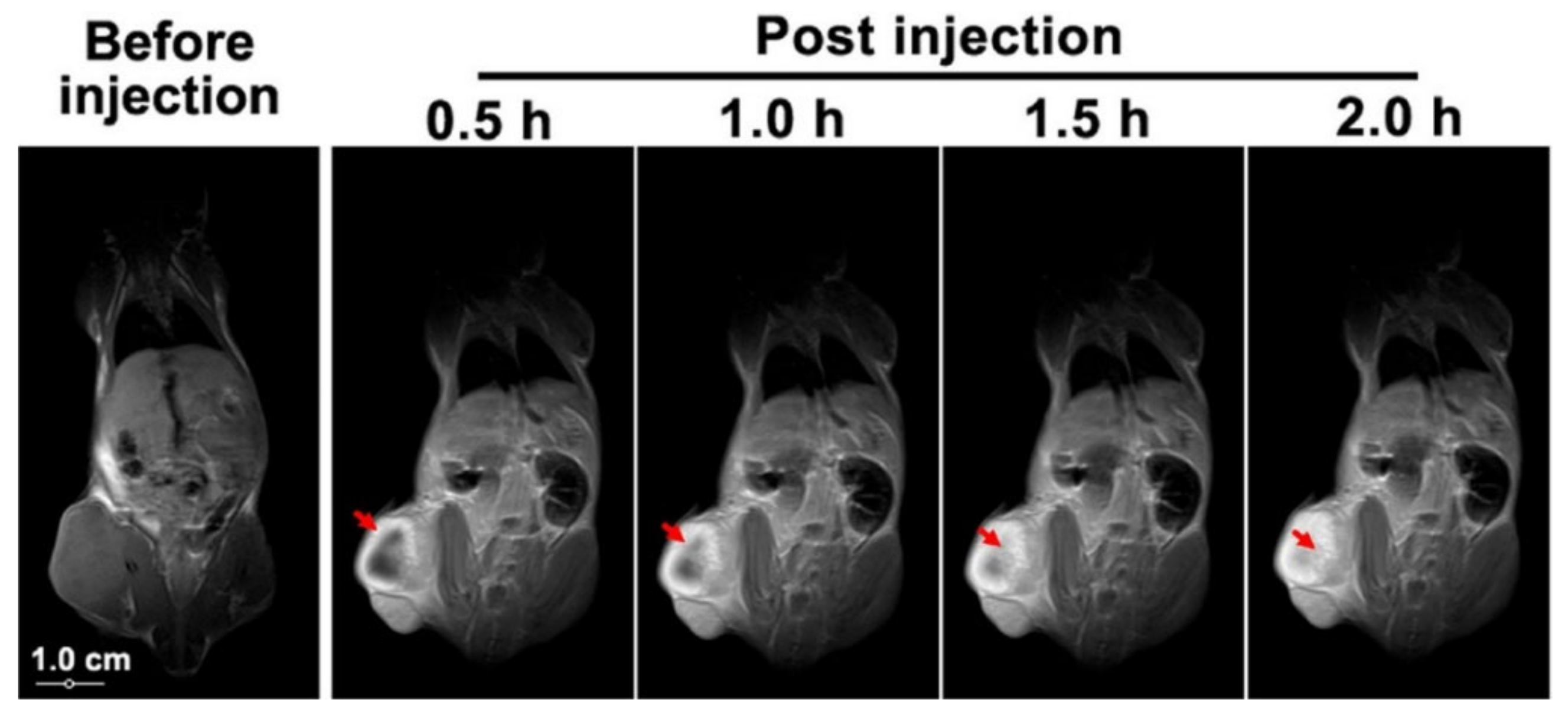 Molecules 27 00048 g009