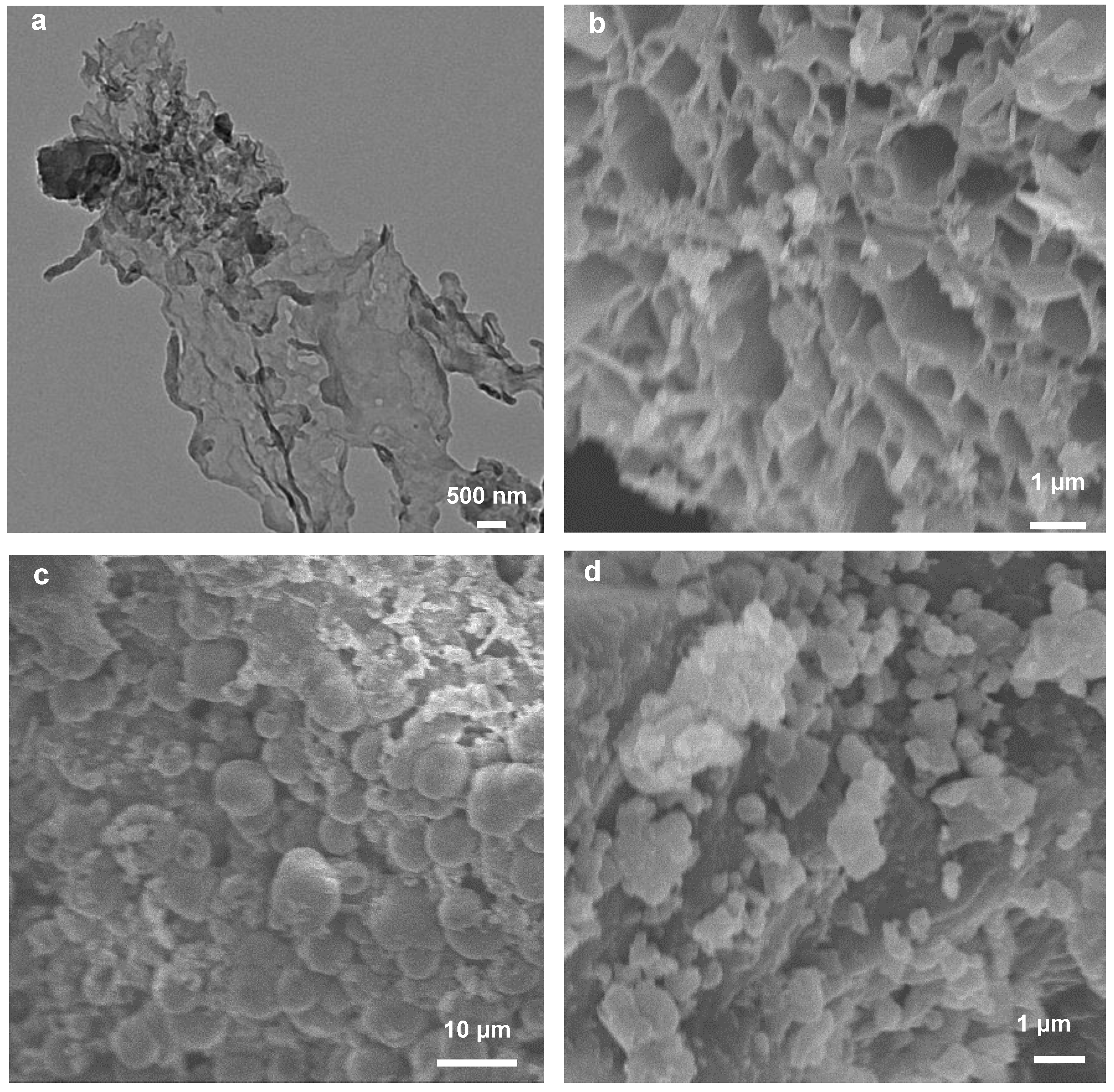 Molecules 27 00328 g001