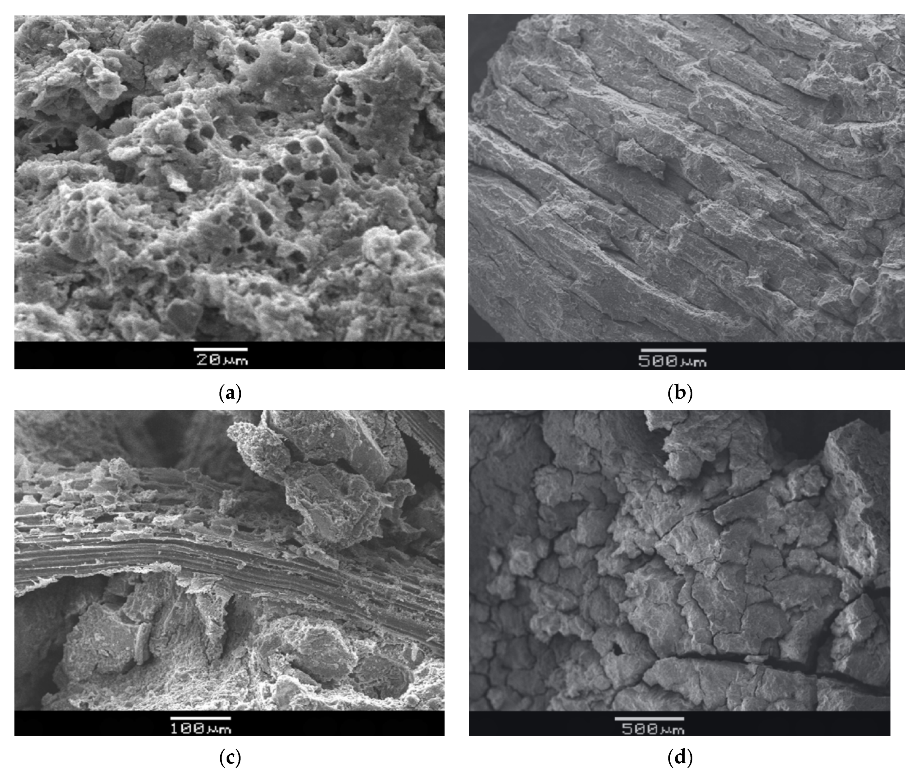 Molecules 27 00796 g007