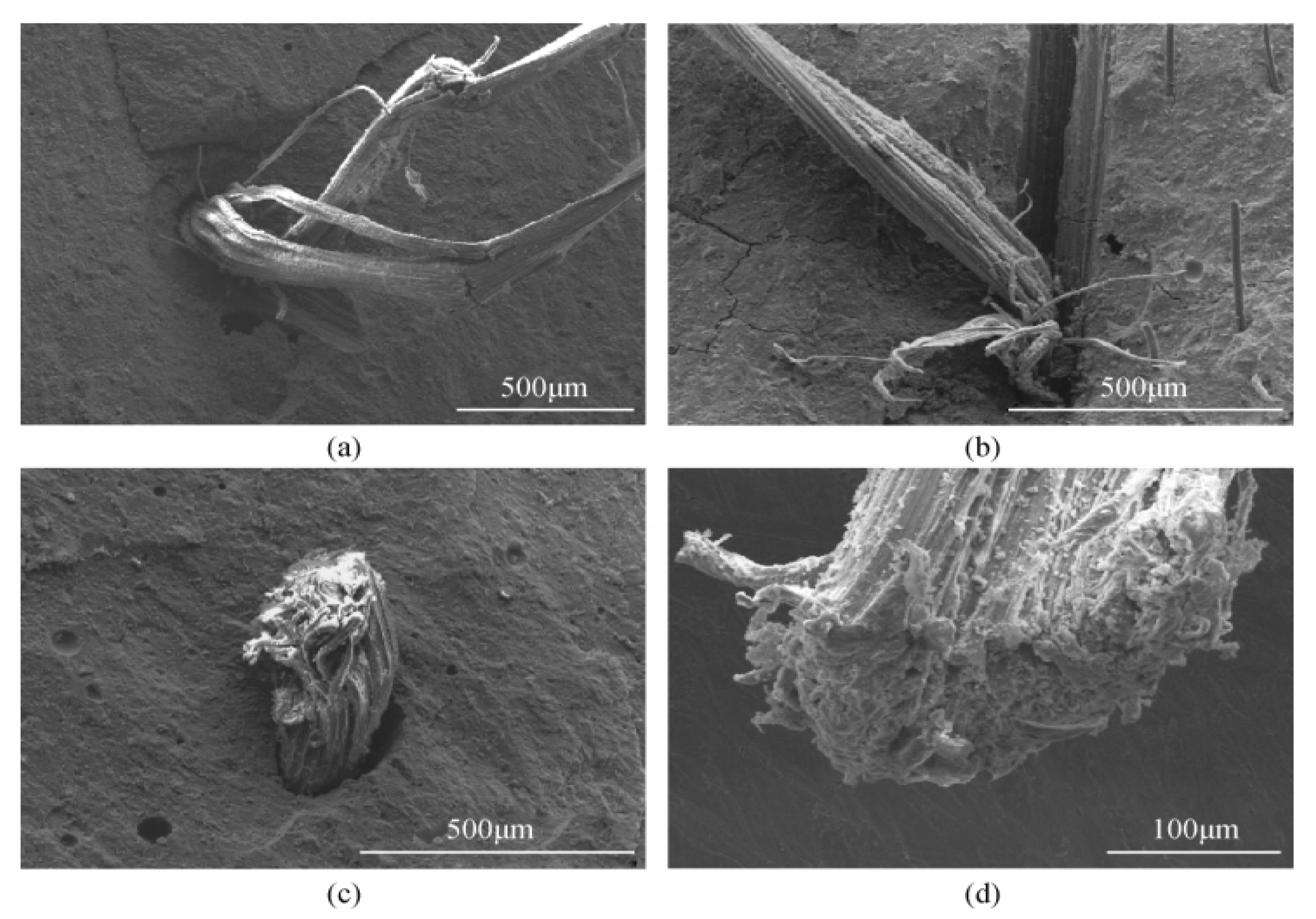 Molecules 27 00796 g010
