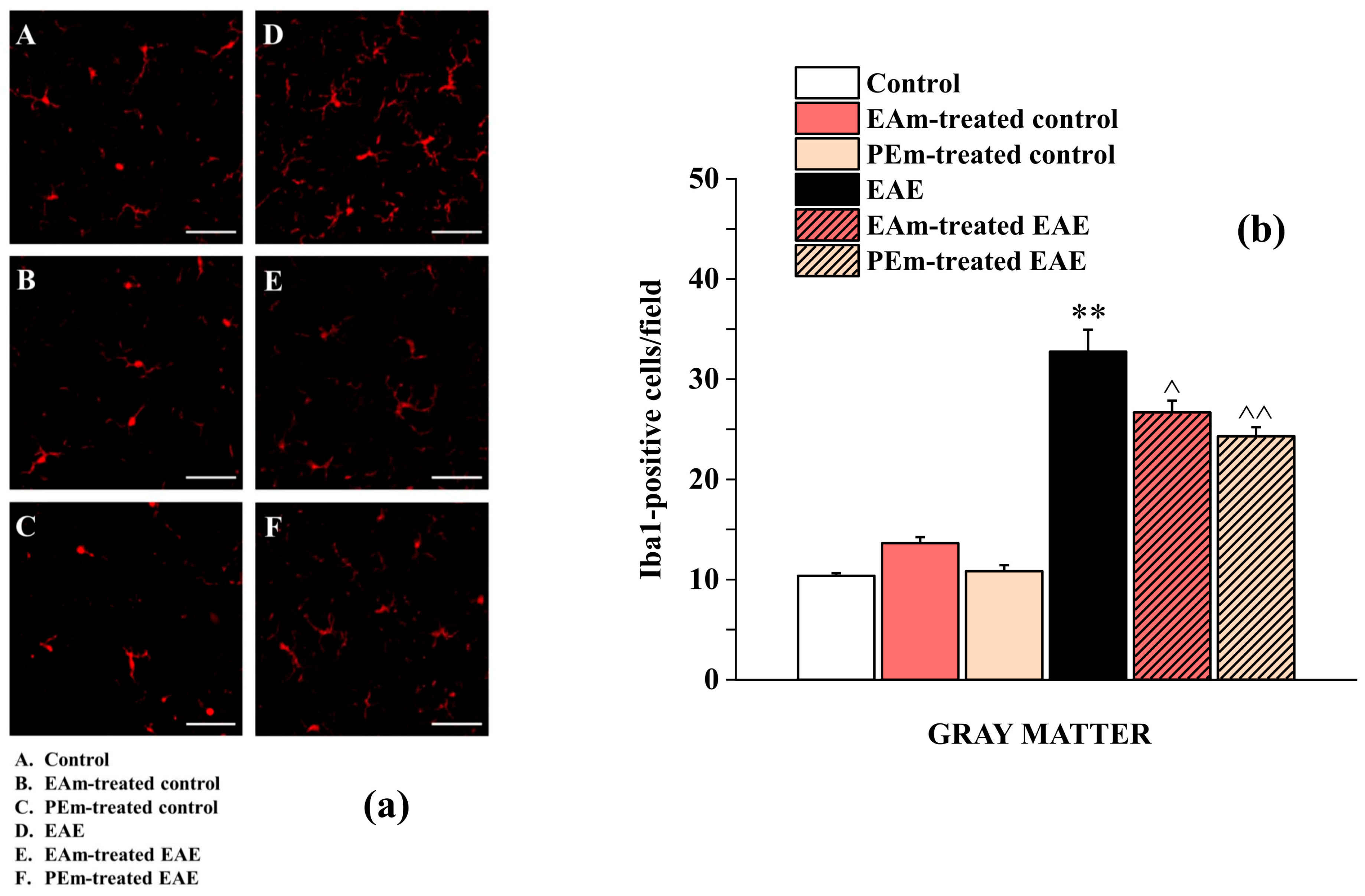 Molecules 27 00914 g005
