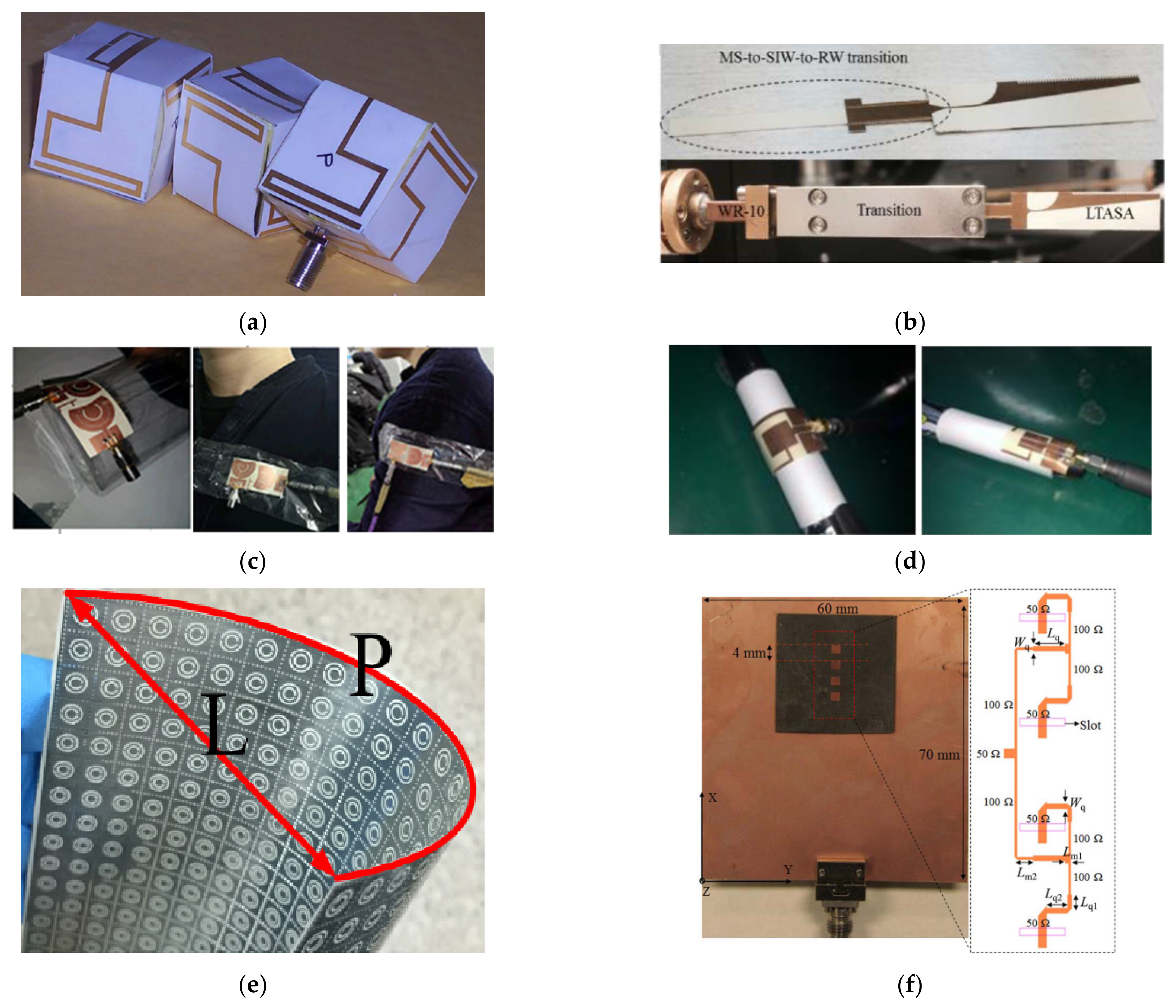 Molecules 27 01336 g006