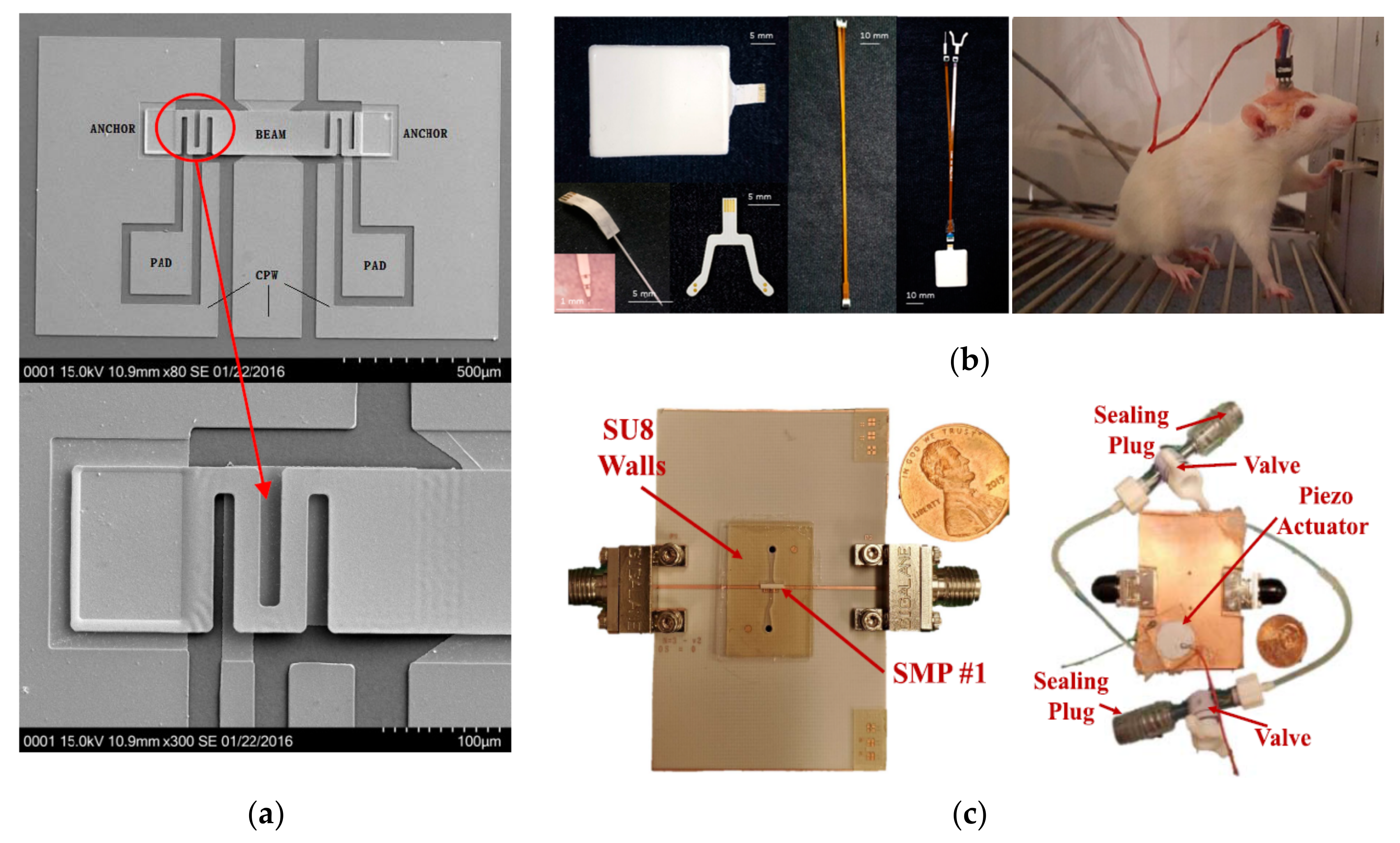 Molecules 27 01336 g010