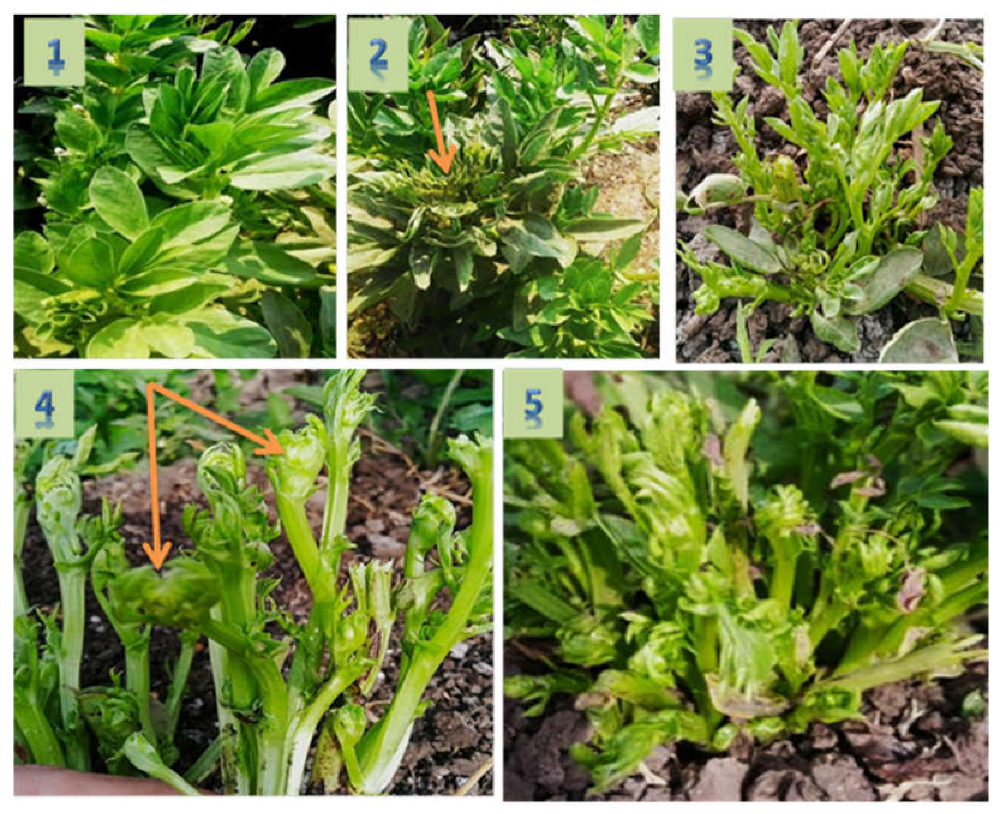 Molecules 27 01467 g002