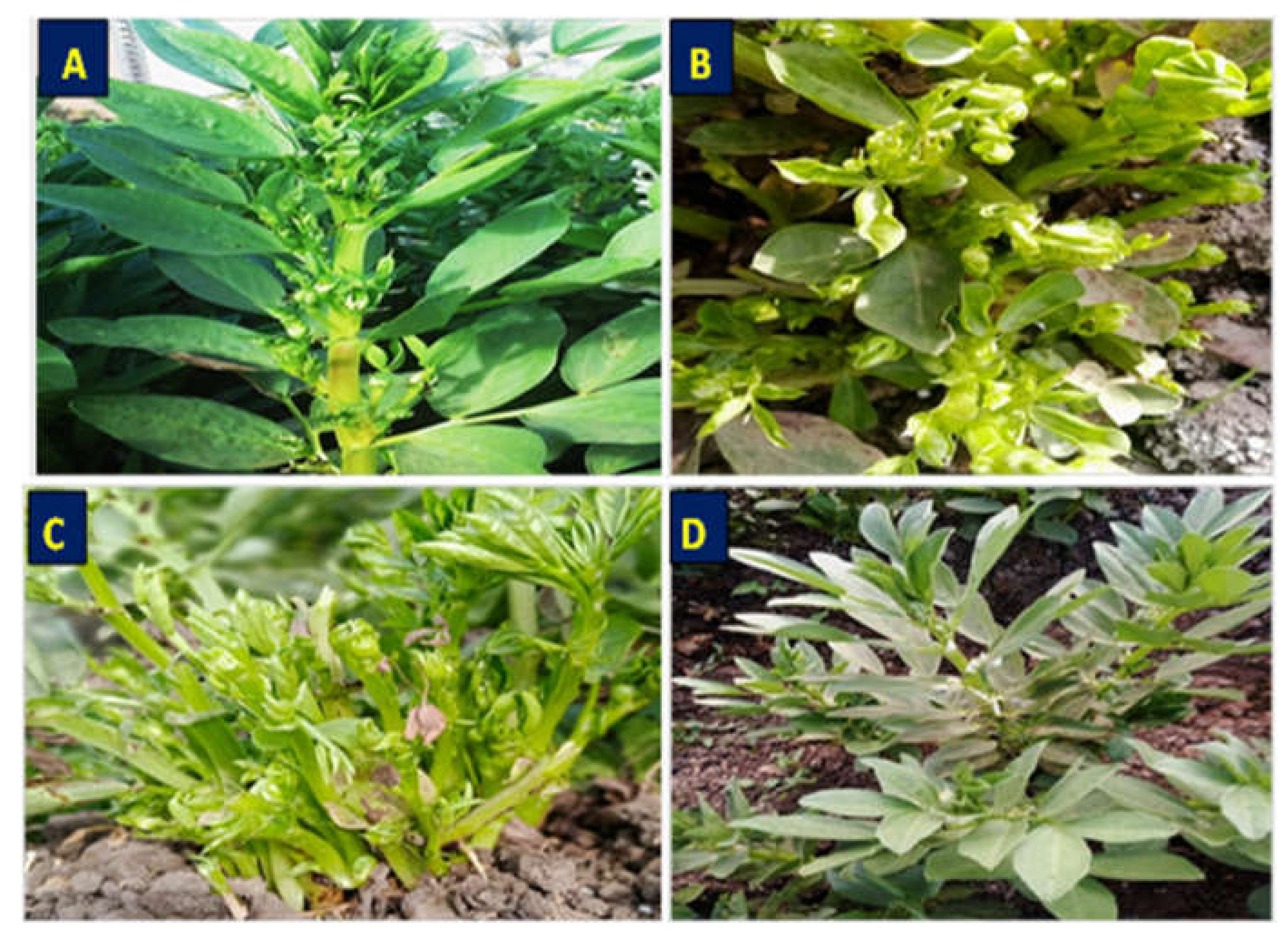 Molecules 27 01467 g003