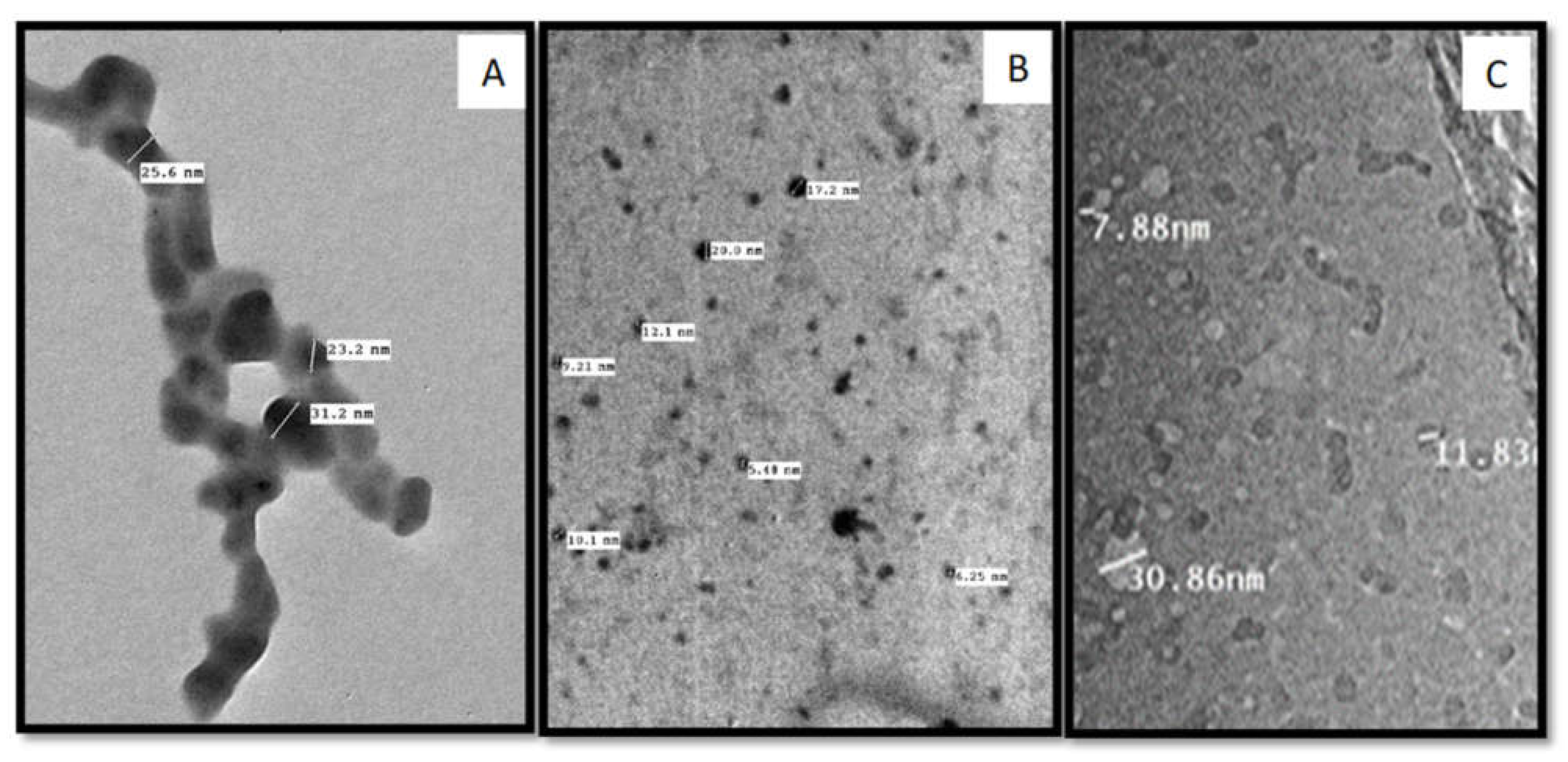 Molecules 27 01467 g004