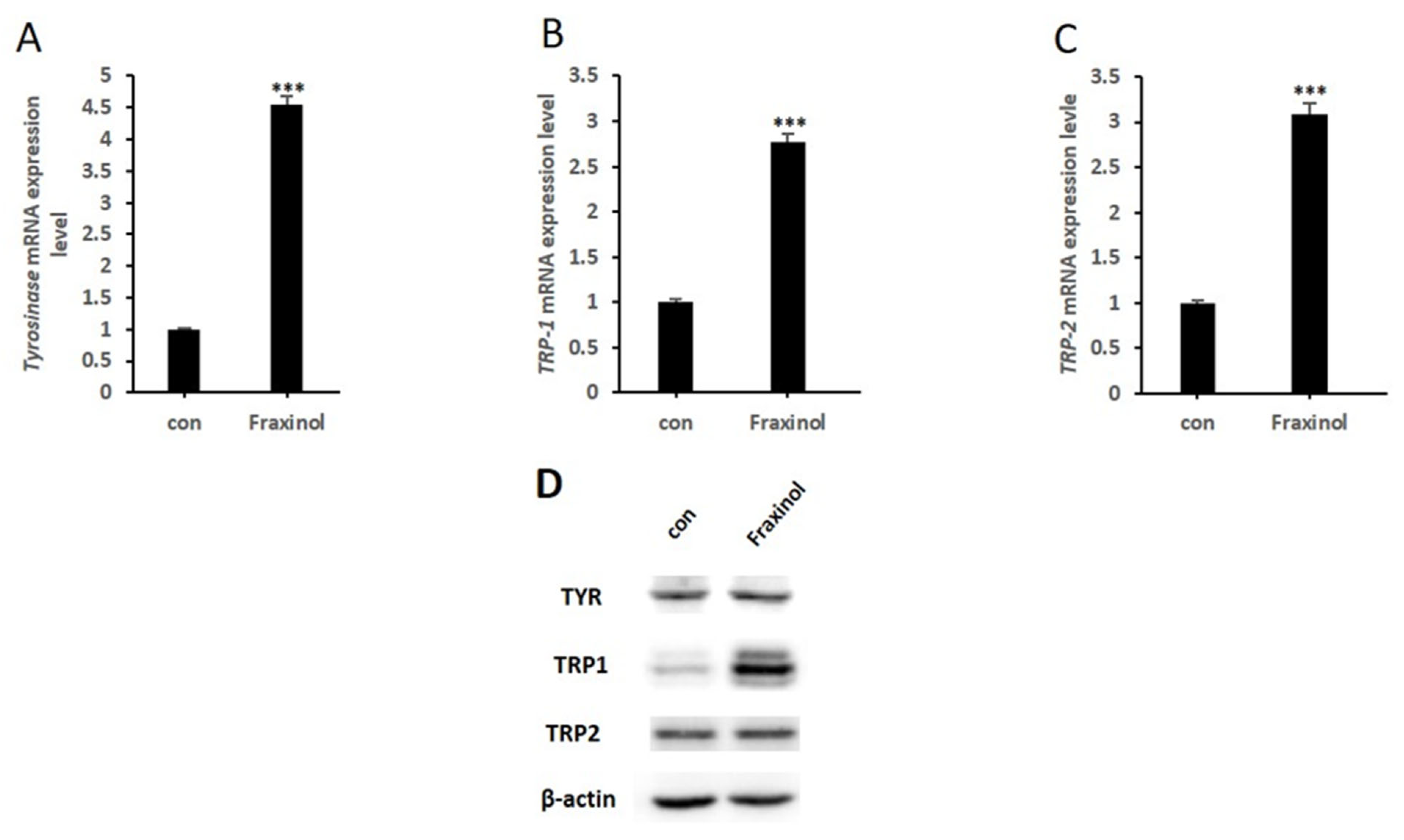 Molecules 27 01549 g003