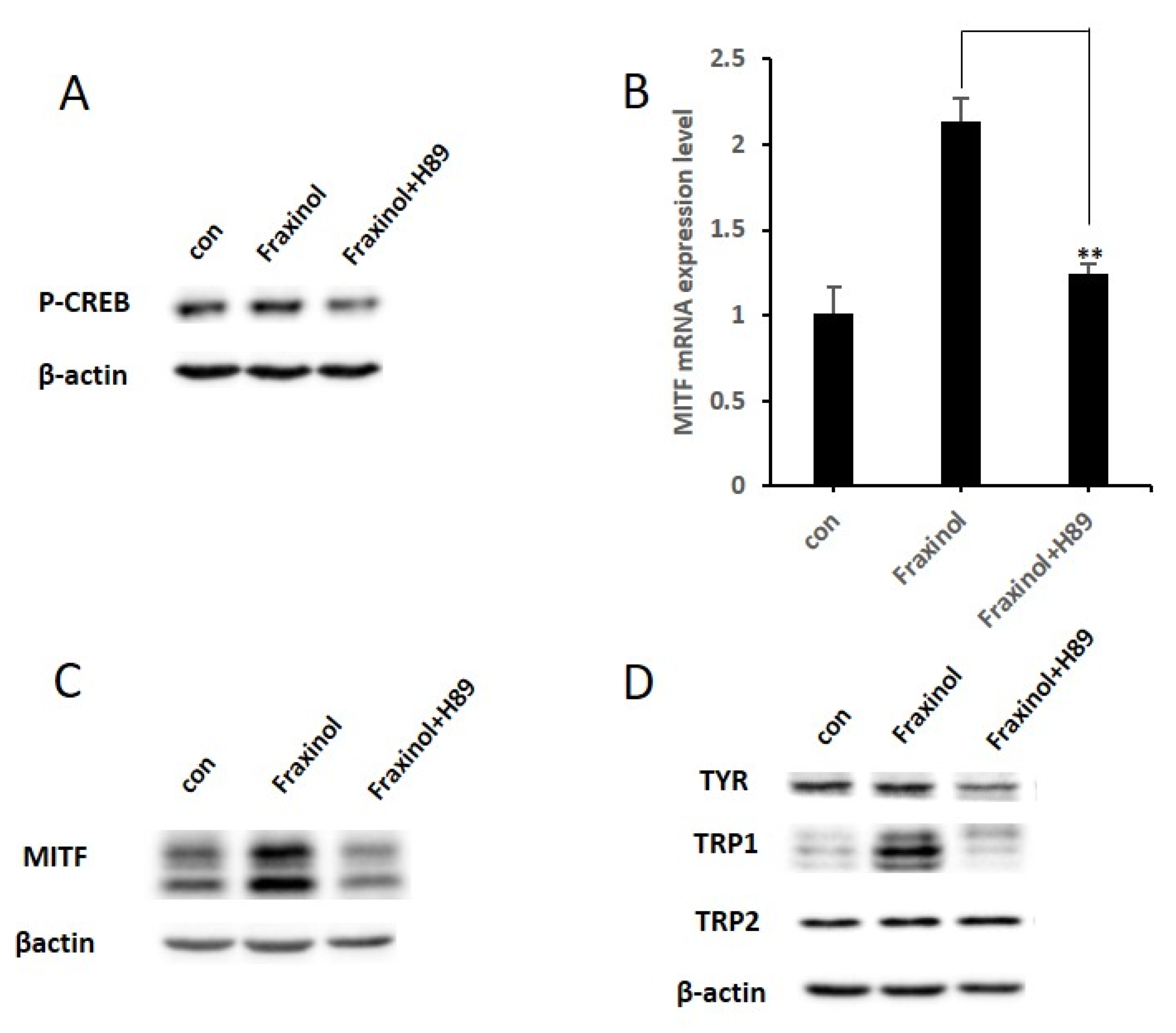 Molecules 27 01549 g005