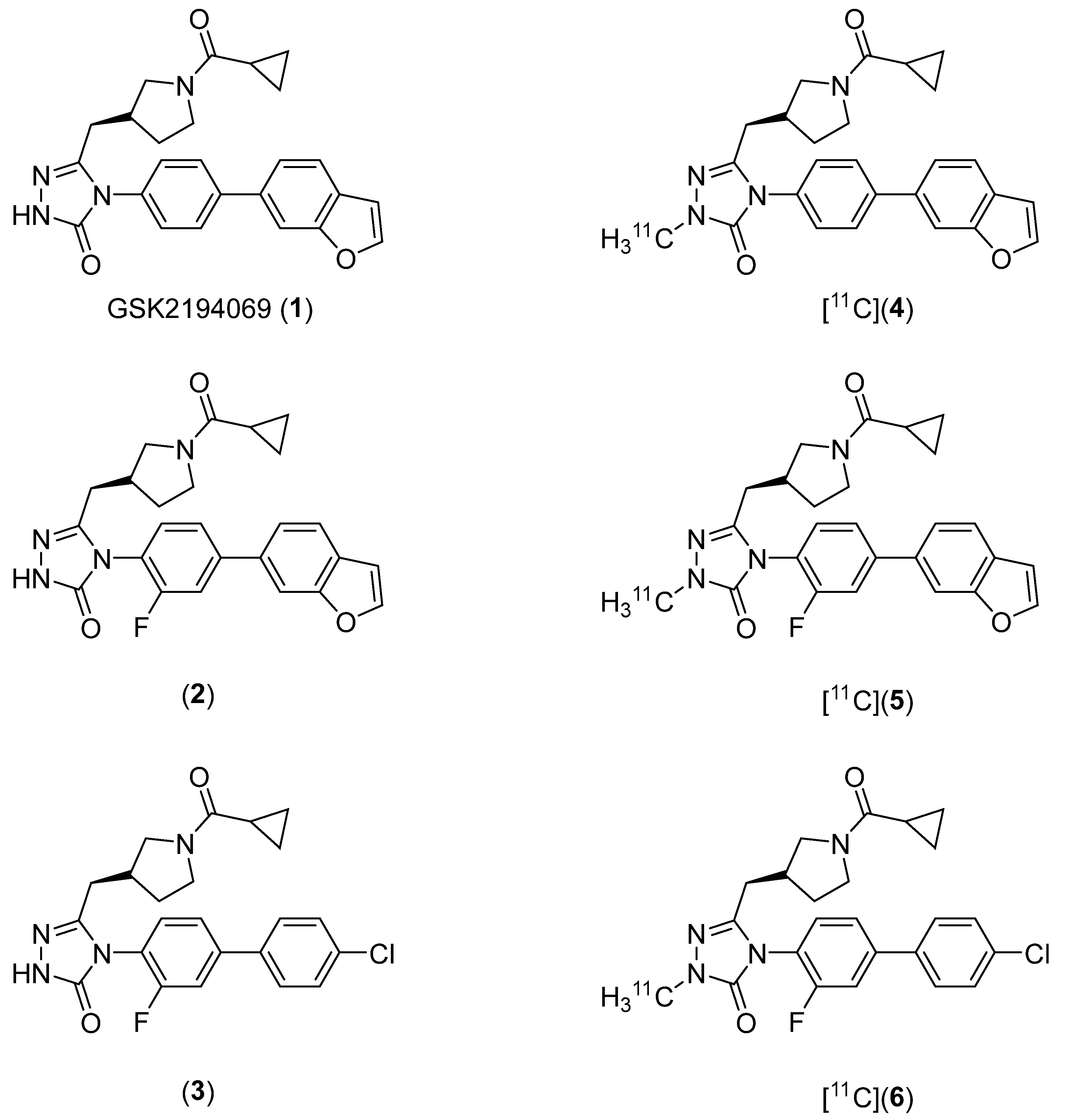 Molecules 27 01552 g001