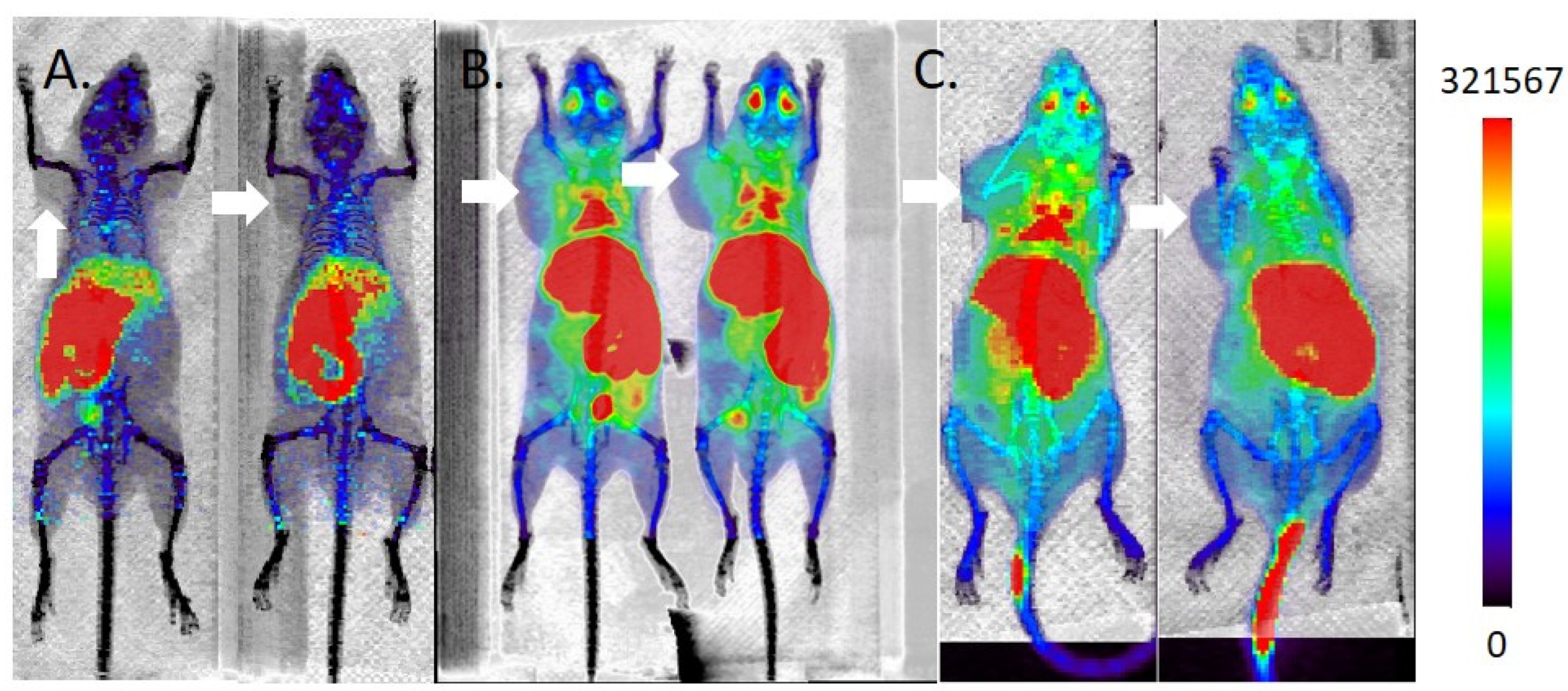 Molecules 27 01552 g007