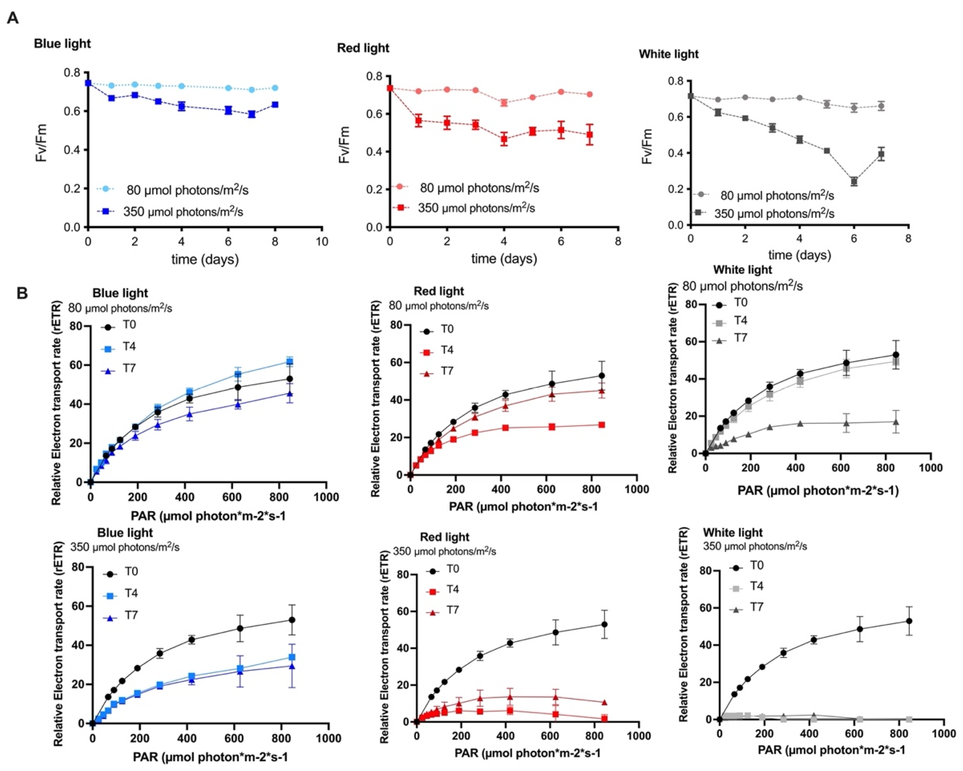 Molecules 27 02412 g002