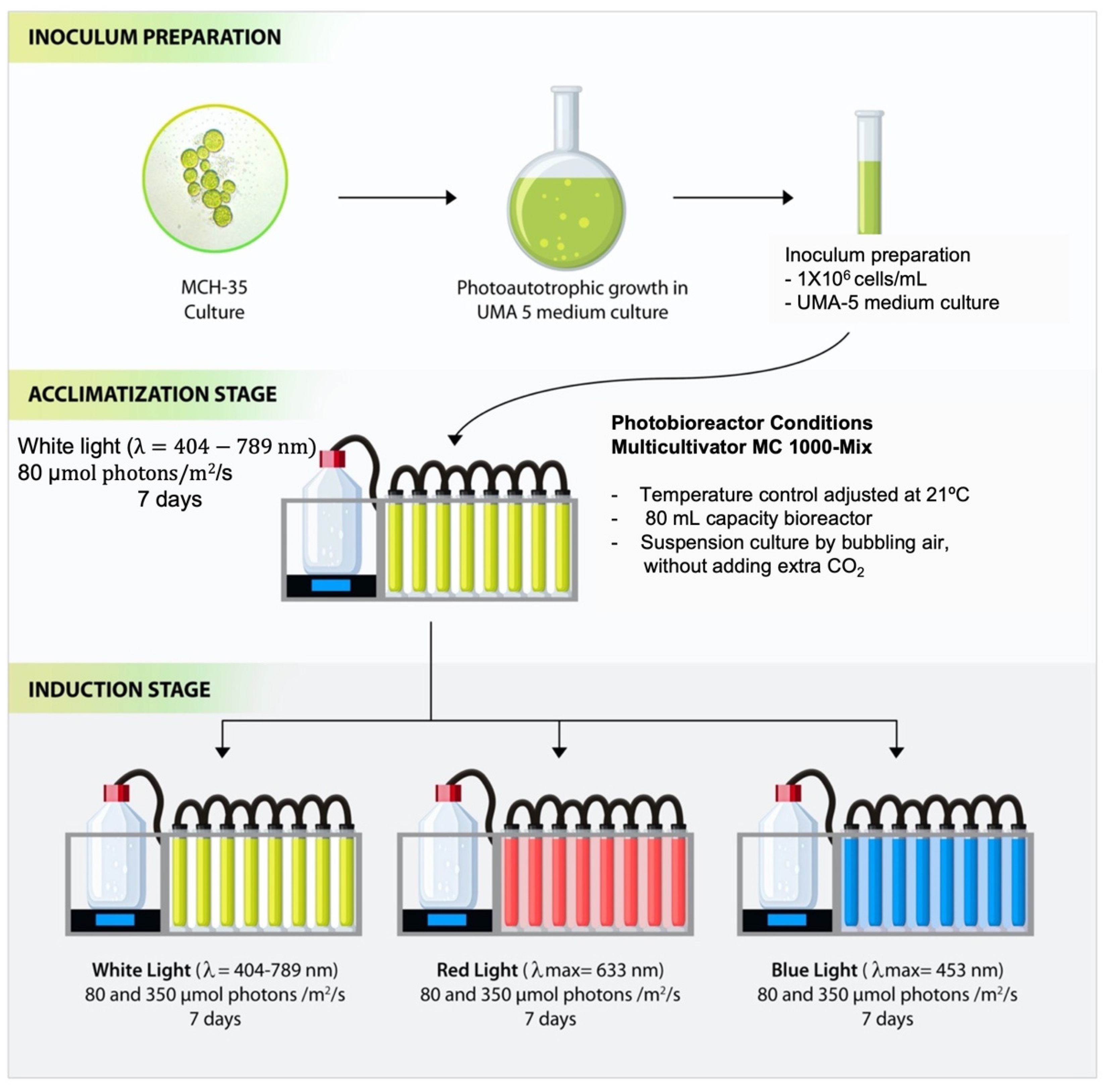 Molecules 27 02412 g007