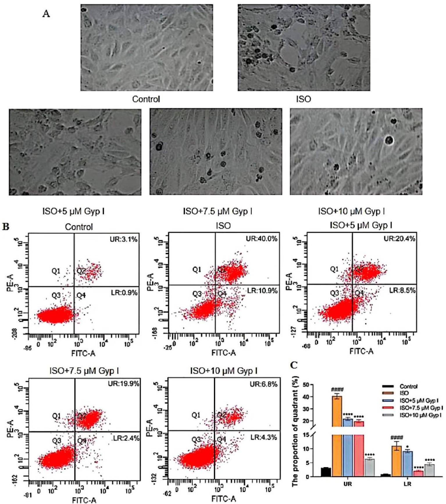 Molecules 27 05298 g002