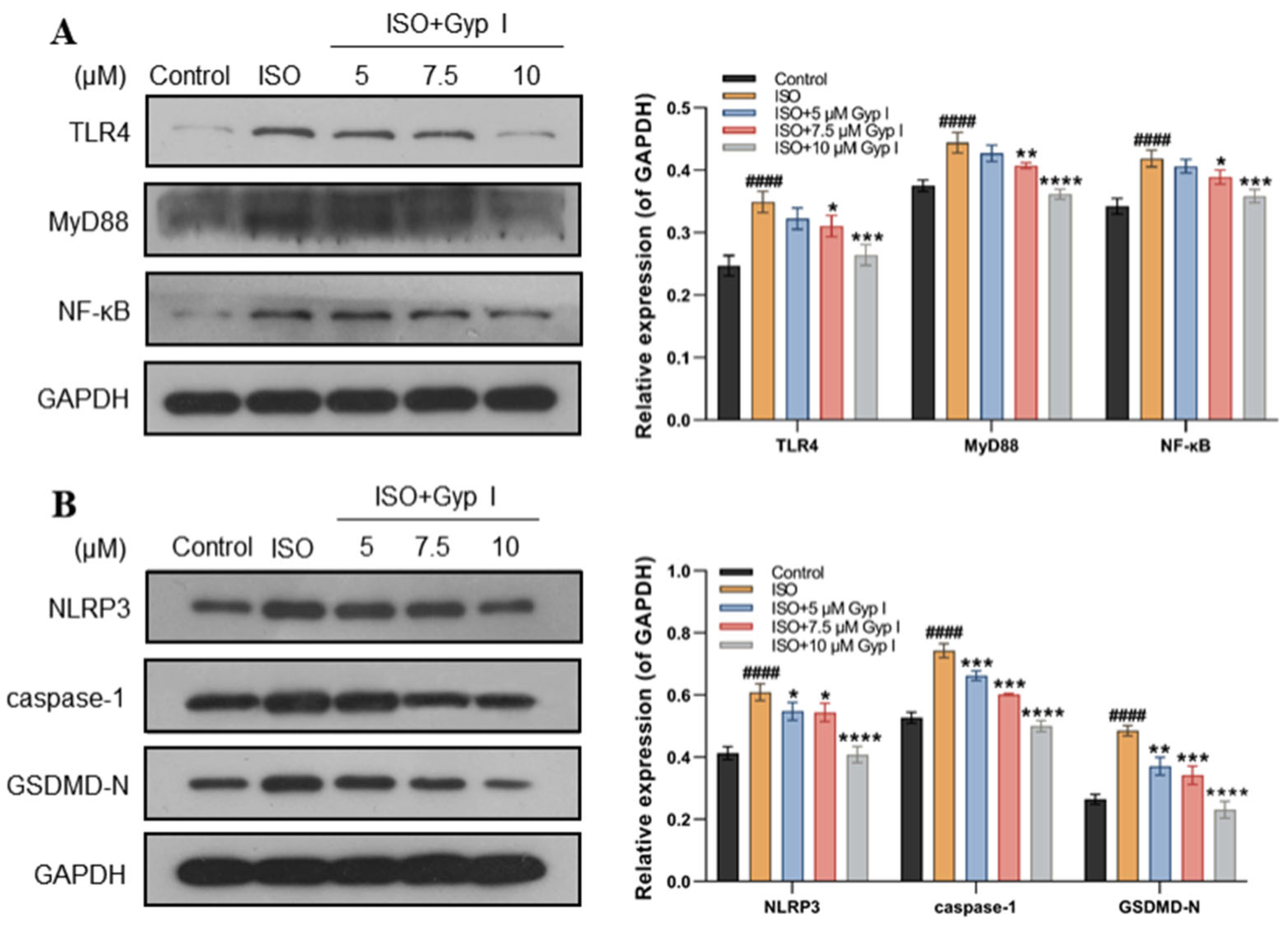 Molecules 27 05298 g004