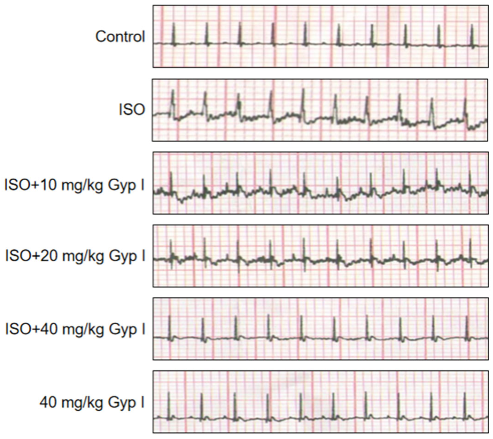Molecules 27 05298 g006