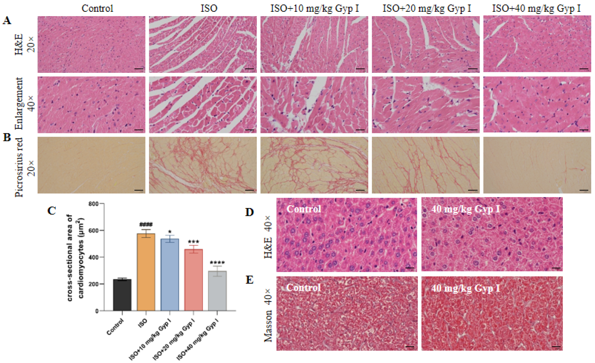 Molecules 27 05298 g009