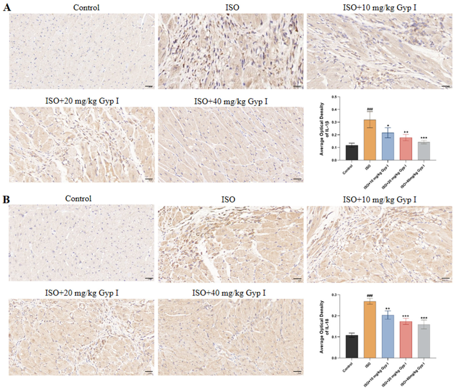Molecules 27 05298 g010