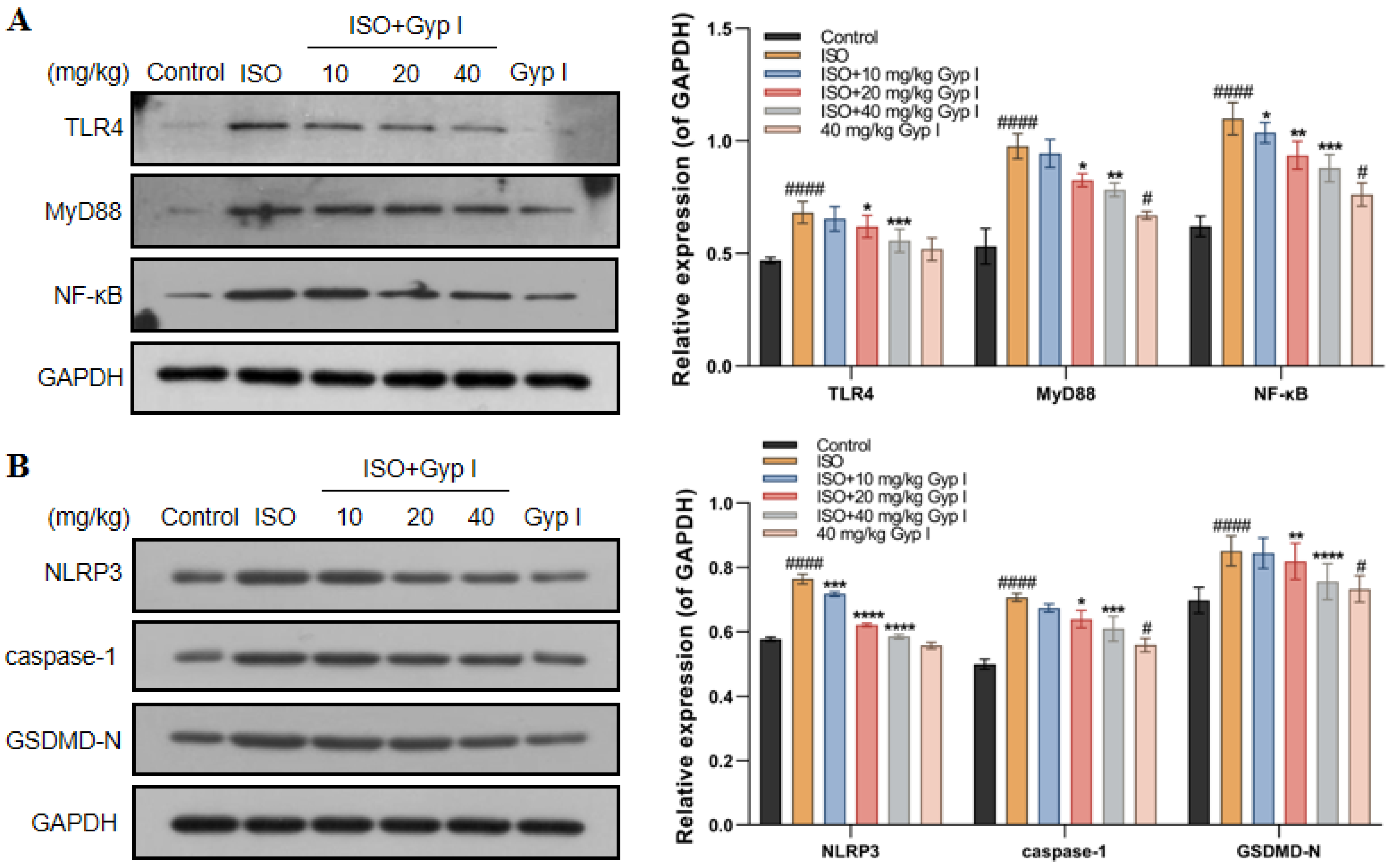 Molecules 27 05298 g011
