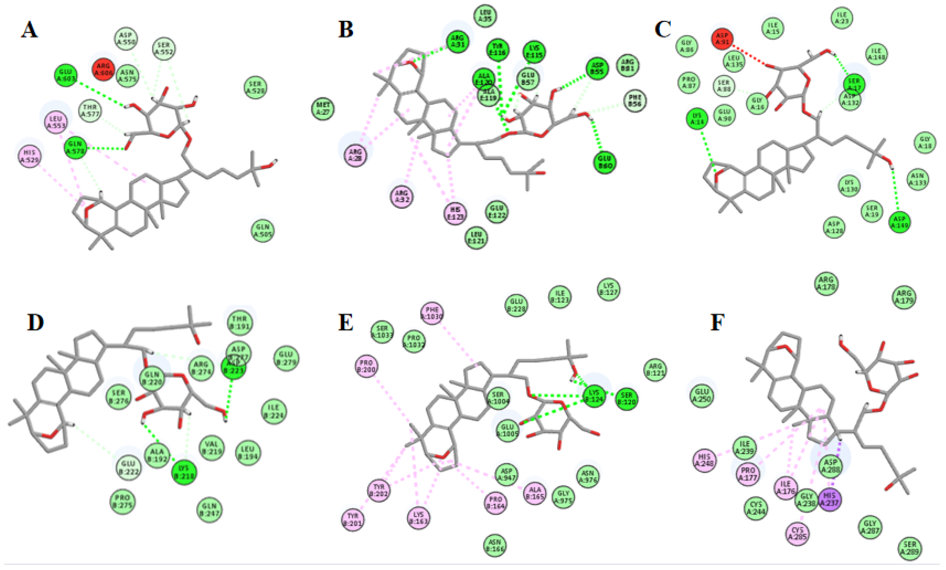 Molecules 27 05298 g013
