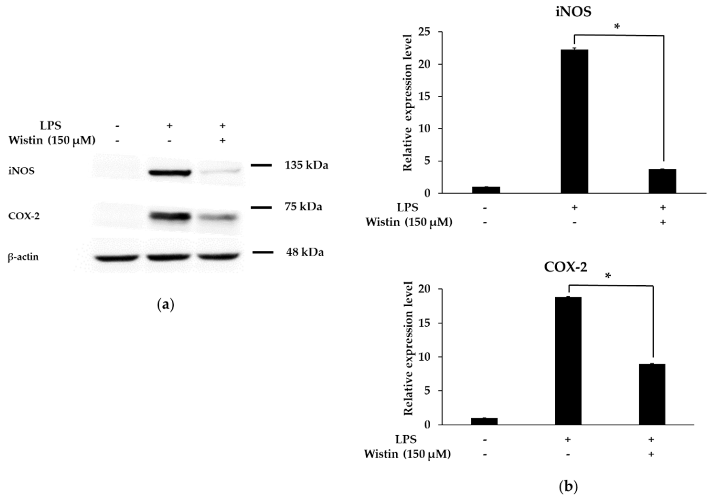 Molecules 27 05719 g004