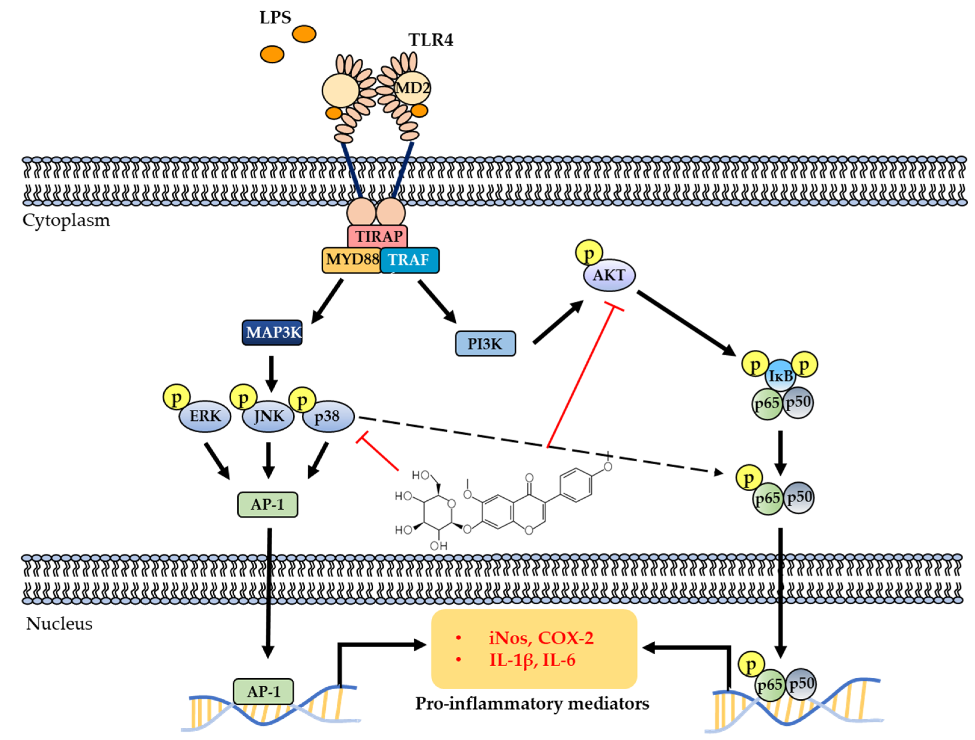 Molecules 27 05719 g007