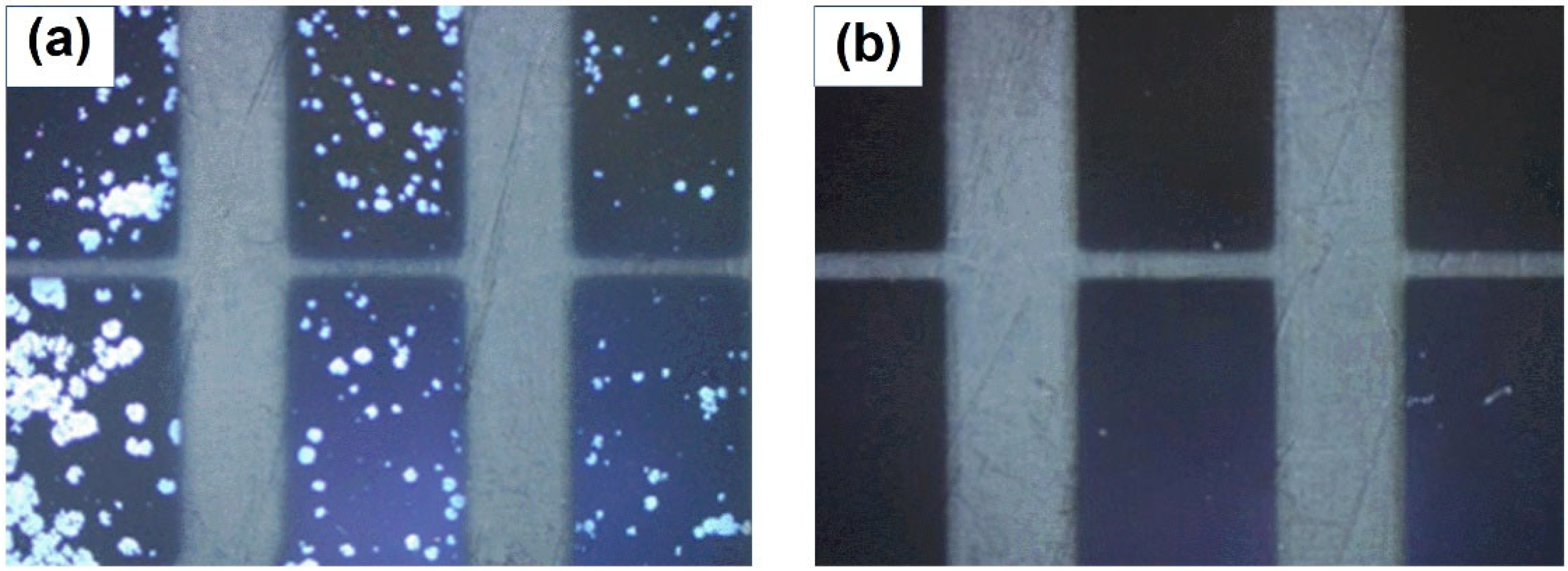 Molecules 27 05723 g002