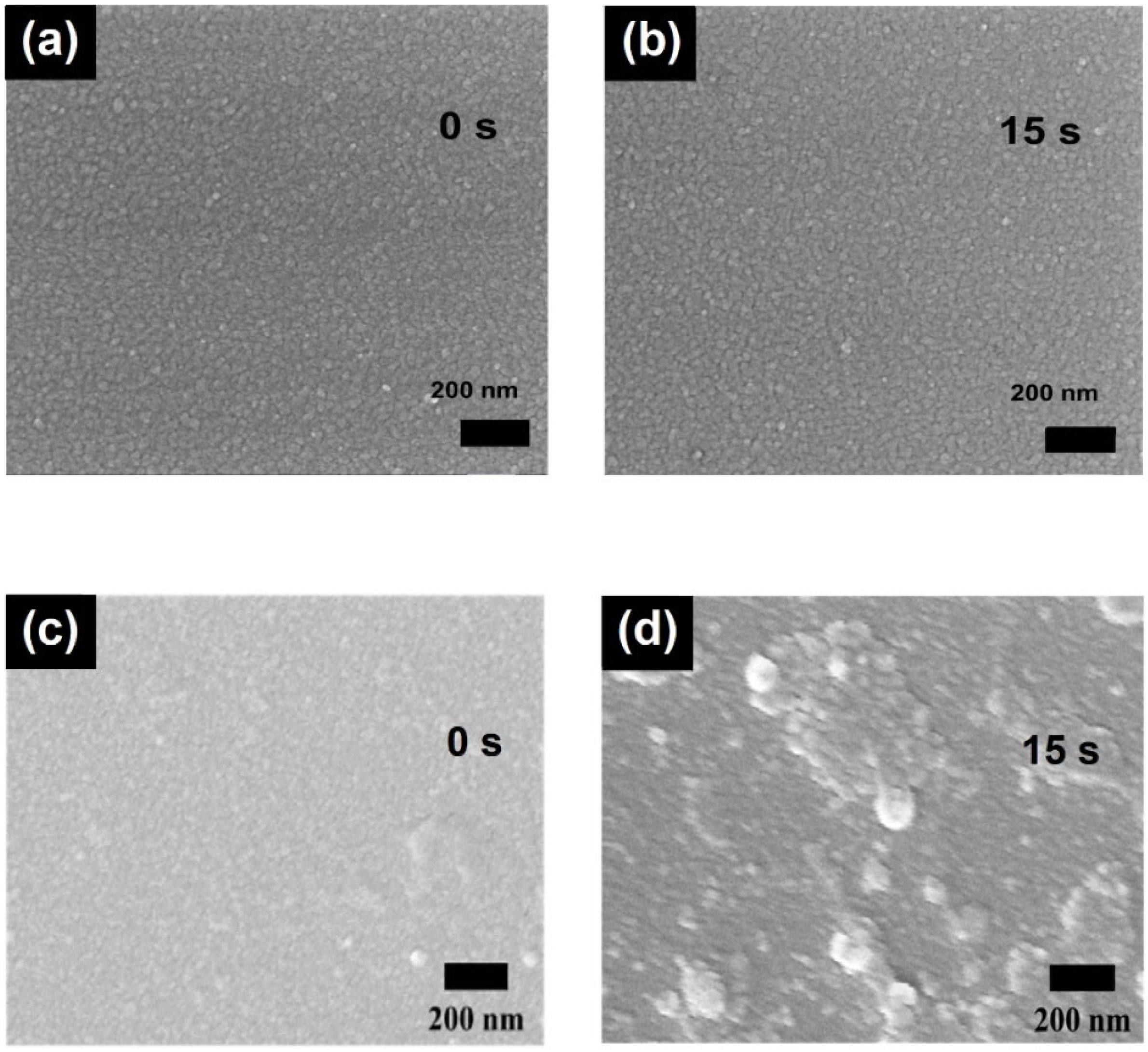 Molecules 27 05723 g004