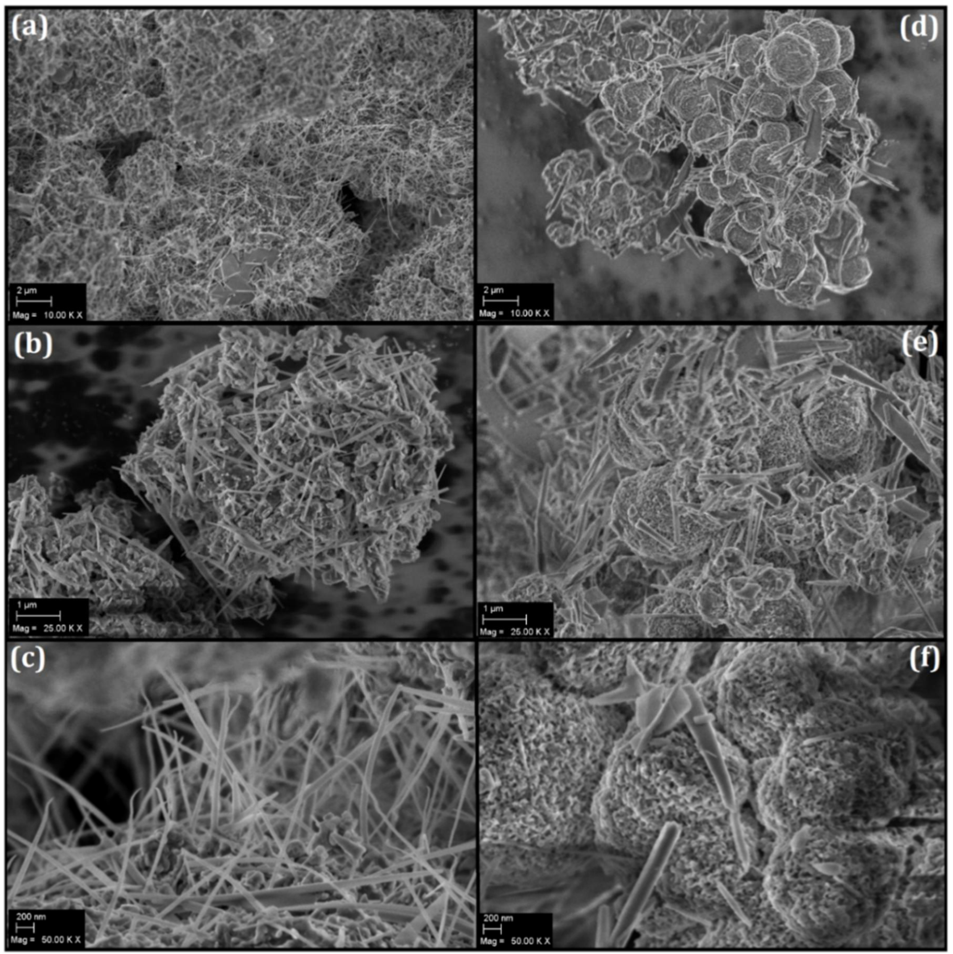 Molecules 27 06326 g002